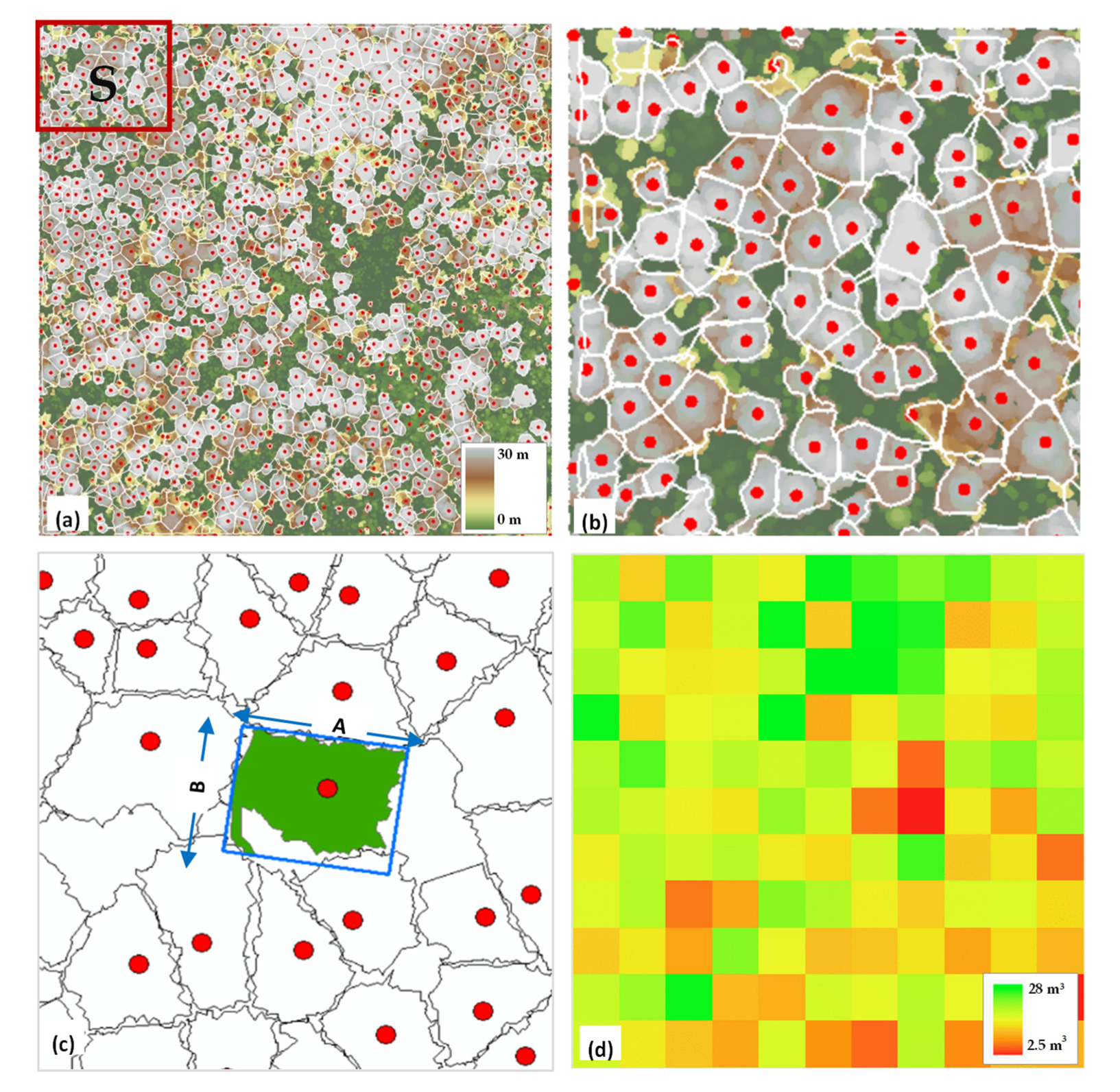 Forests 14 00506 g004