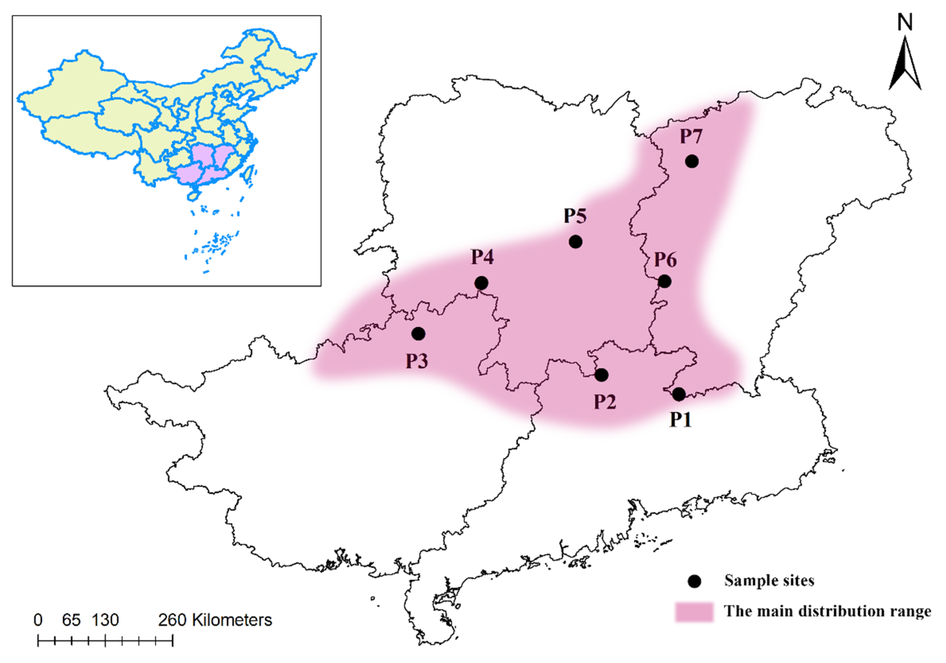 Forests 14 00508 g002