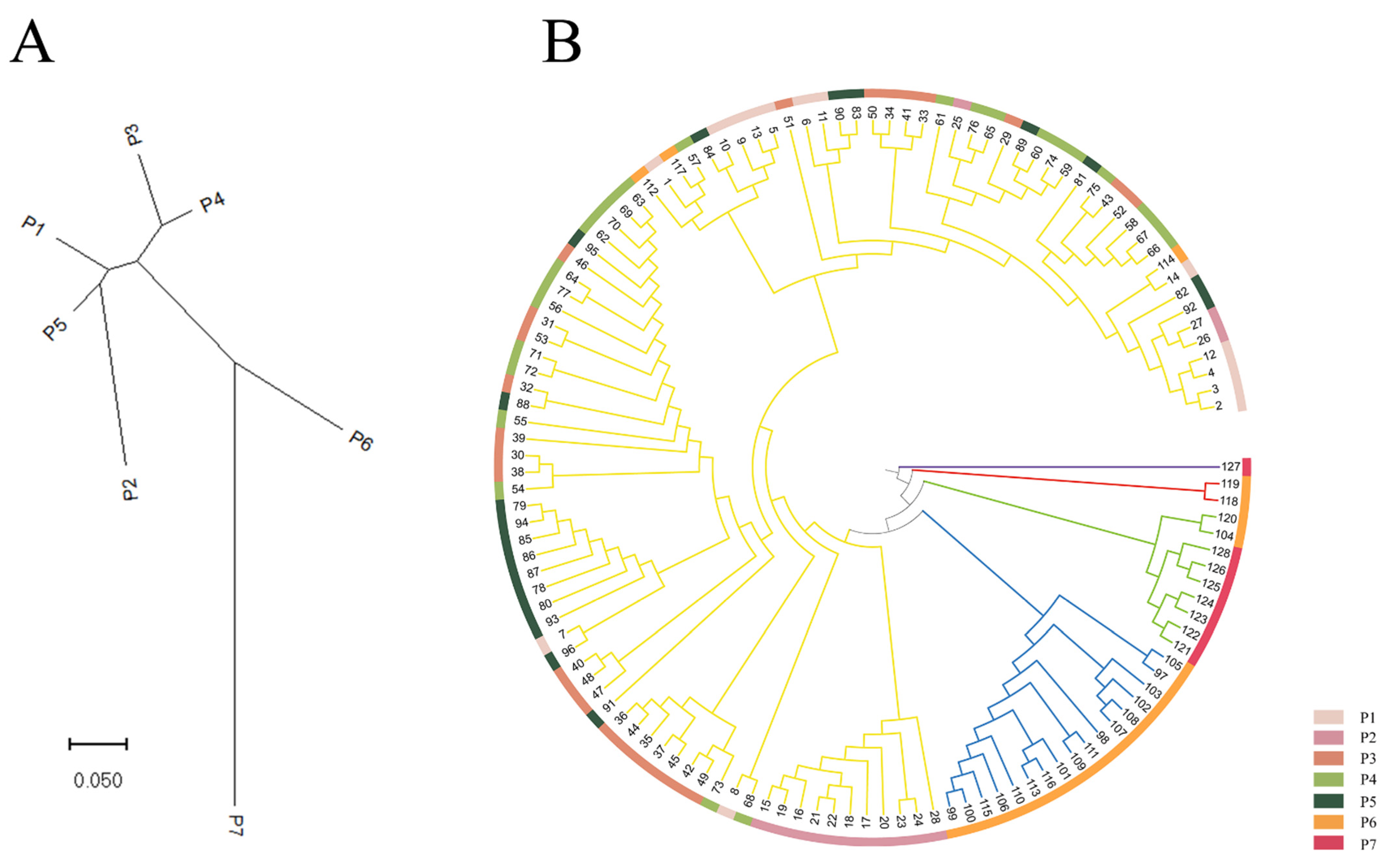 Forests 14 00508 g003
