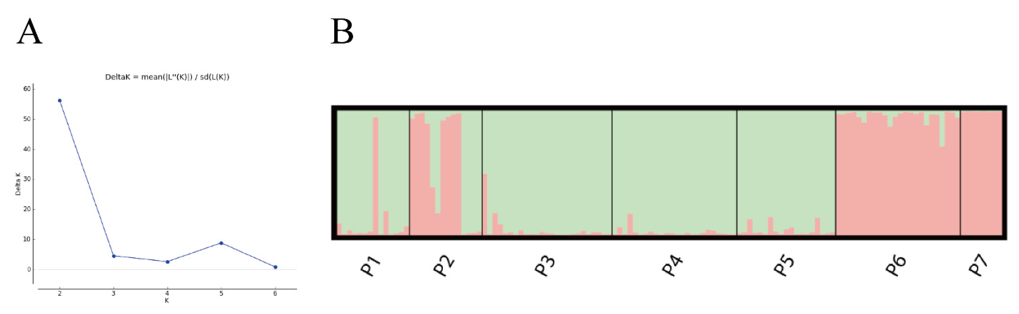 Forests 14 00508 g005