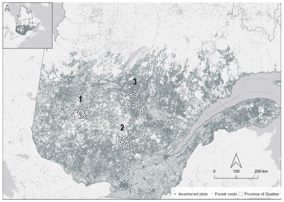 Forests 14 00511 g001 Forests 14 00511 g001