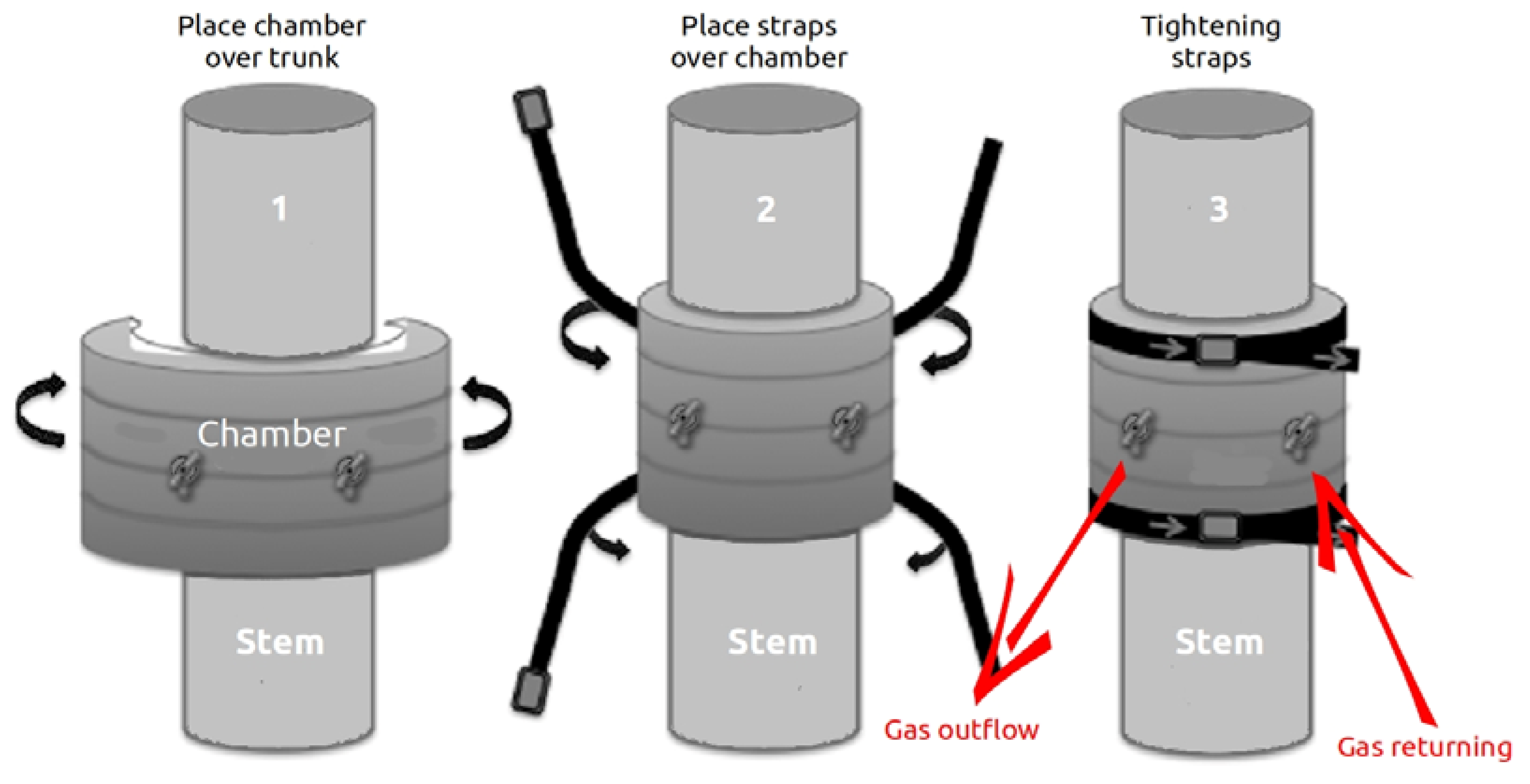 Forests 14 00521 g002