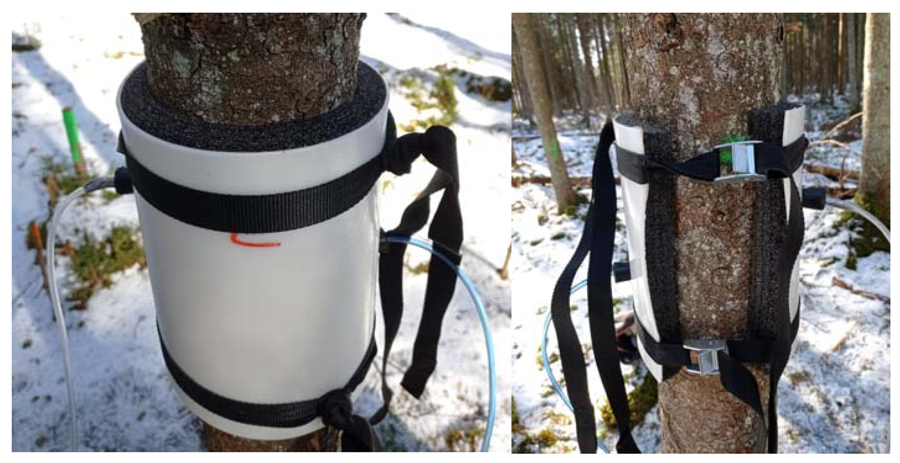 Forests 14 00521 g003