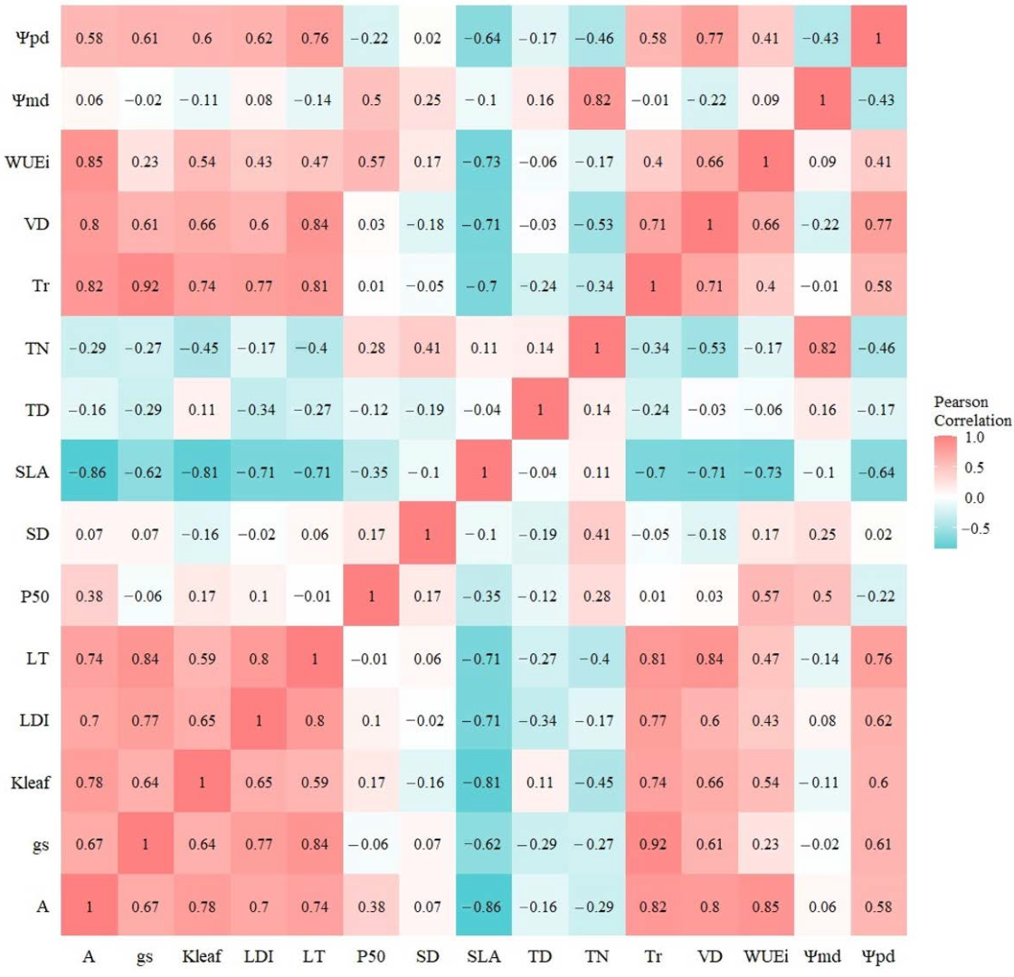 Forests 14 00535 g007