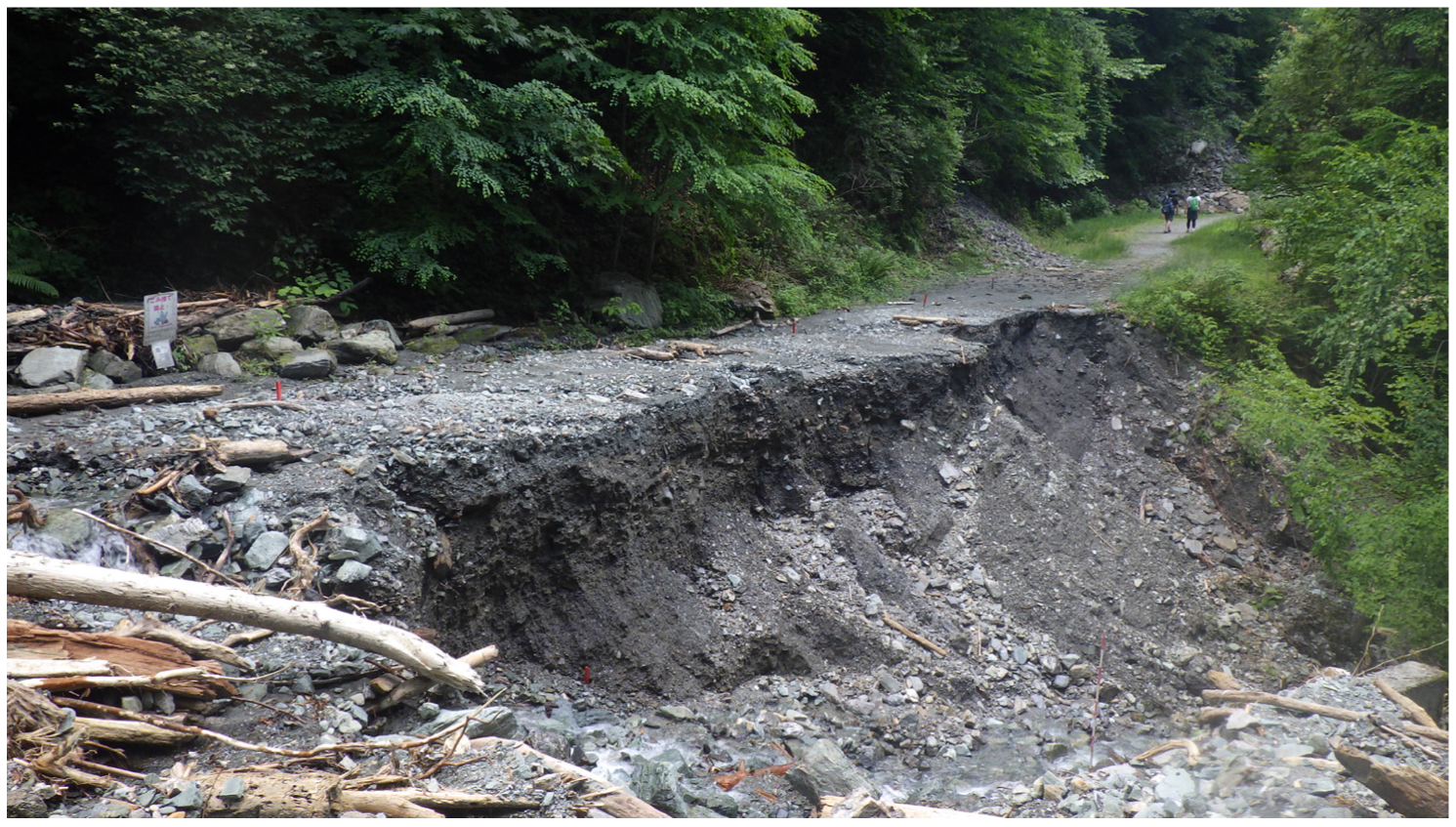 Forests 14 00537 g001