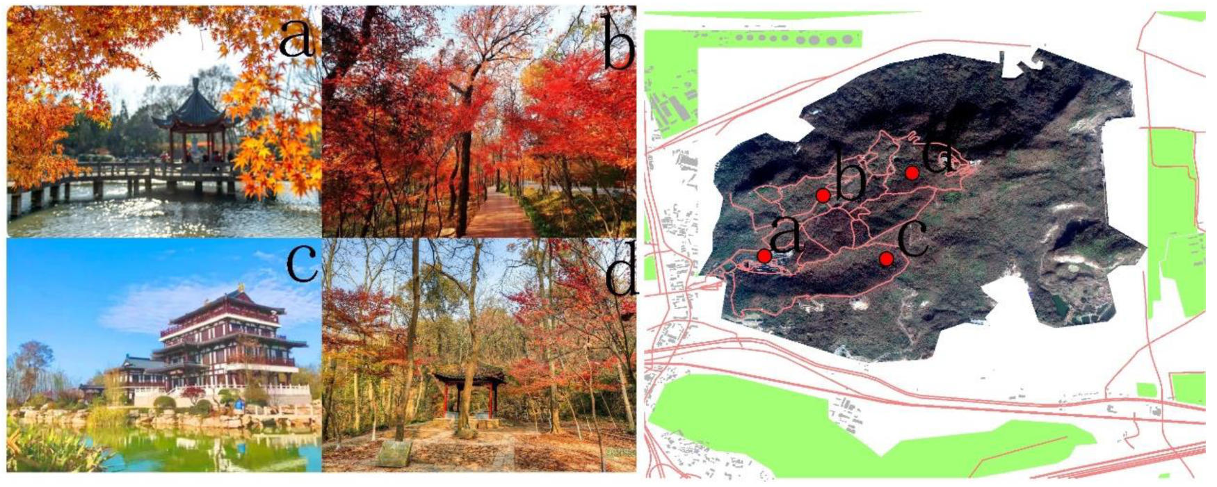 Forests 14 00542 g004 Forests 14 00542 g004