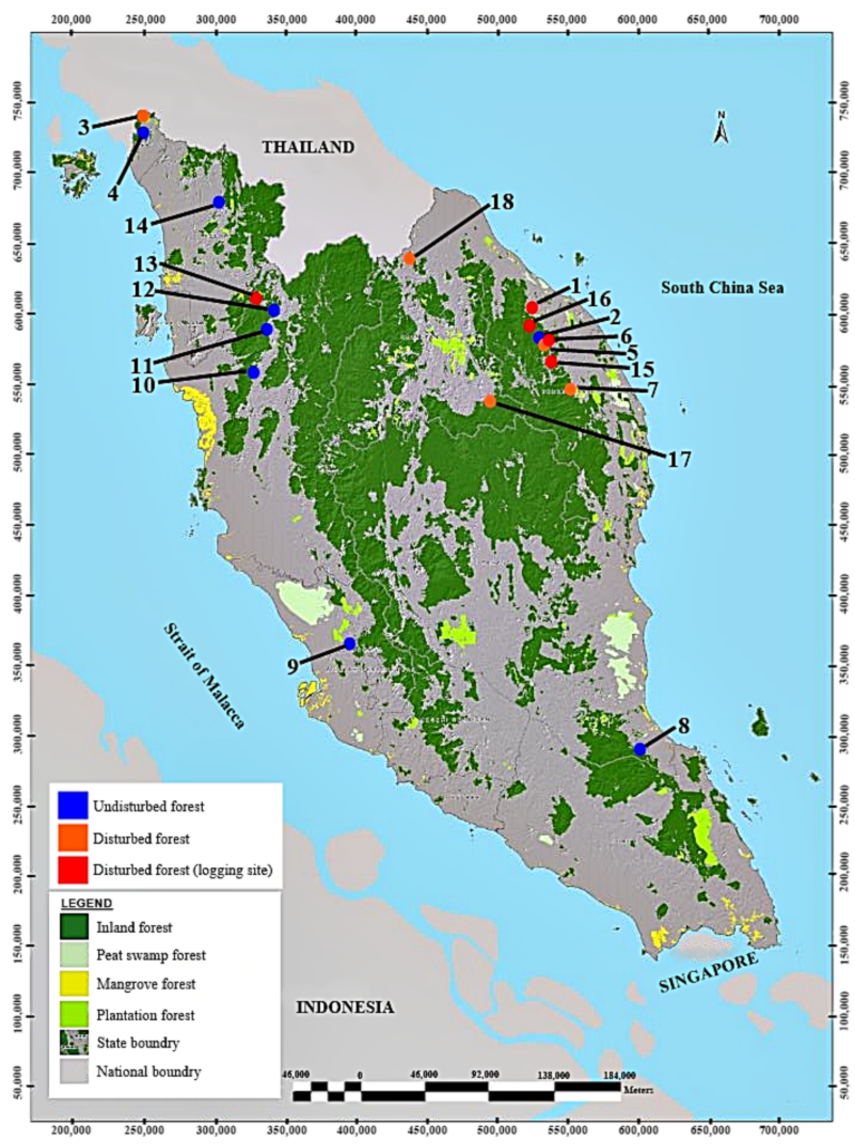 Forests 14 00544 g001 Forests 14 00544 g001