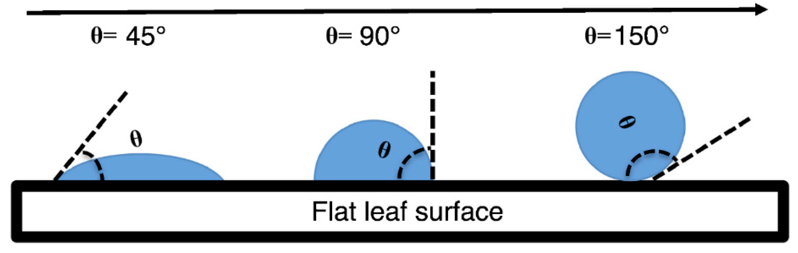 Forests 14 00551 g002
