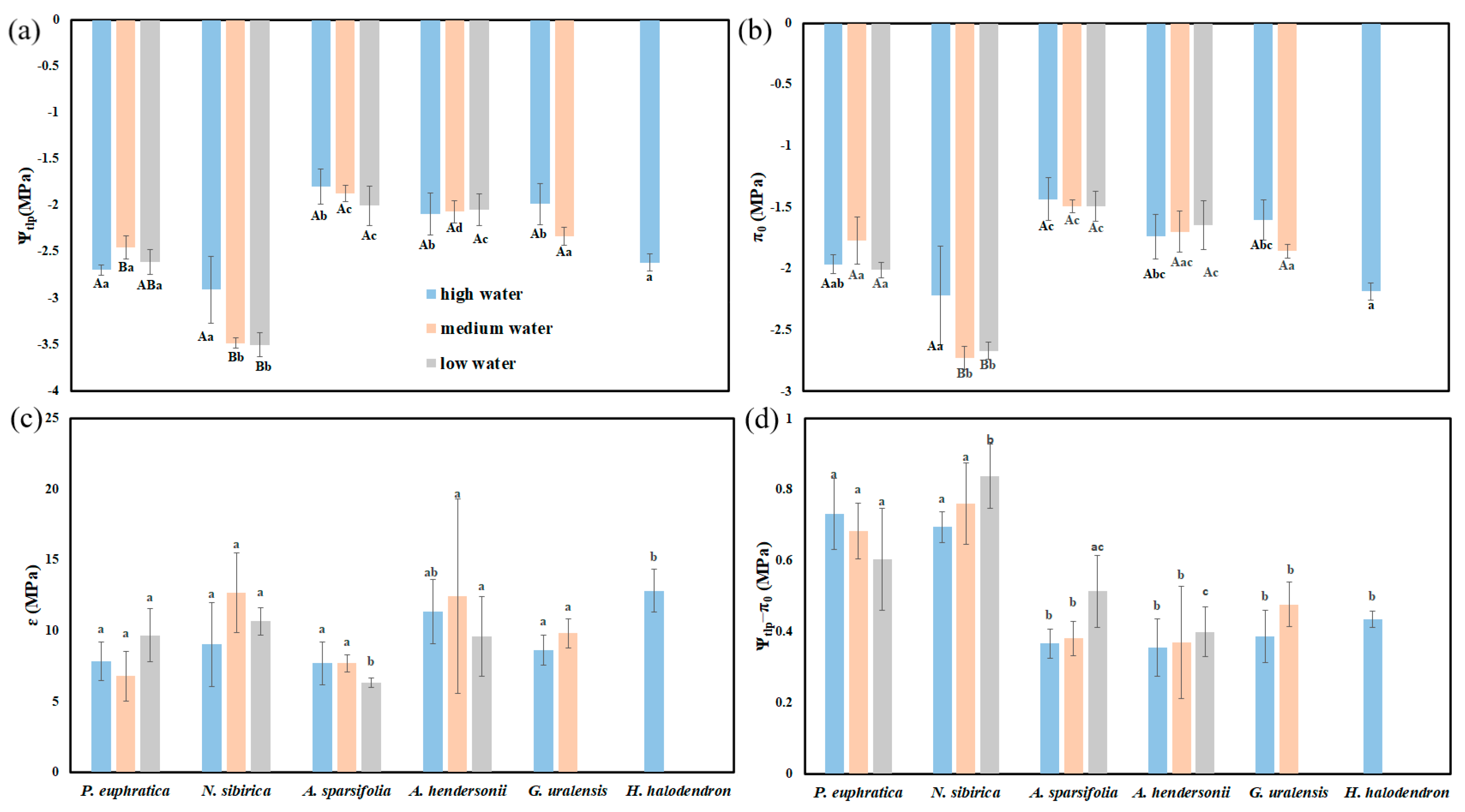 Forests 14 00551 g006