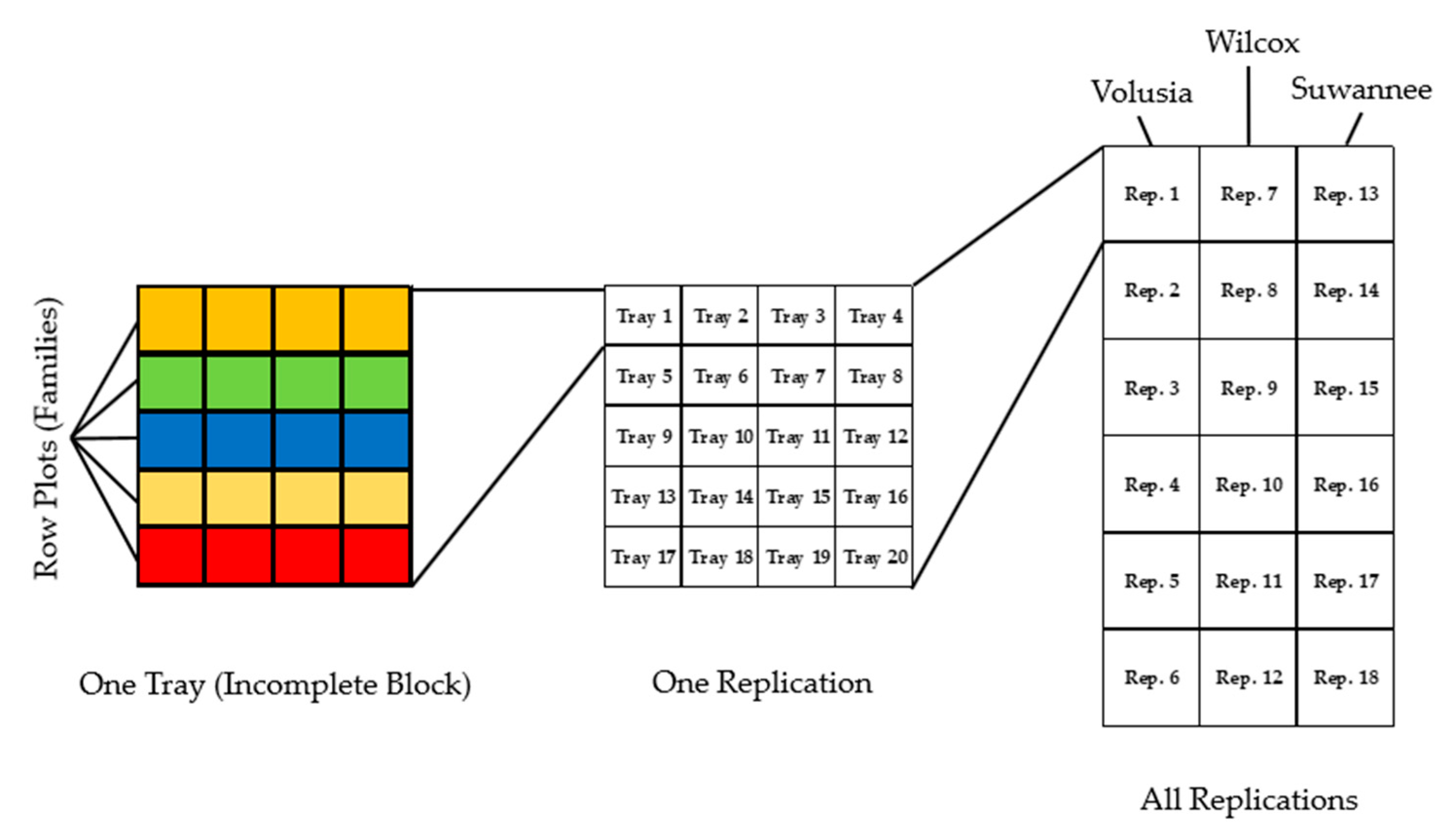 Forests 14 00554 g001