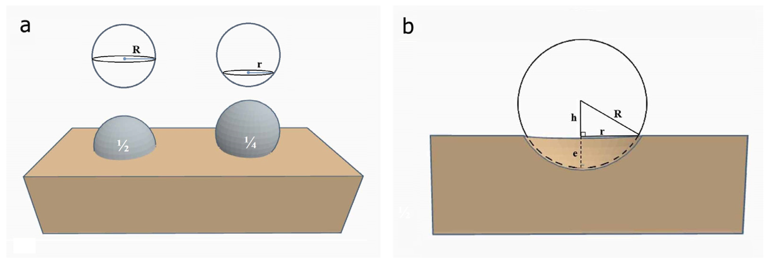 Forests 14 00560 g002