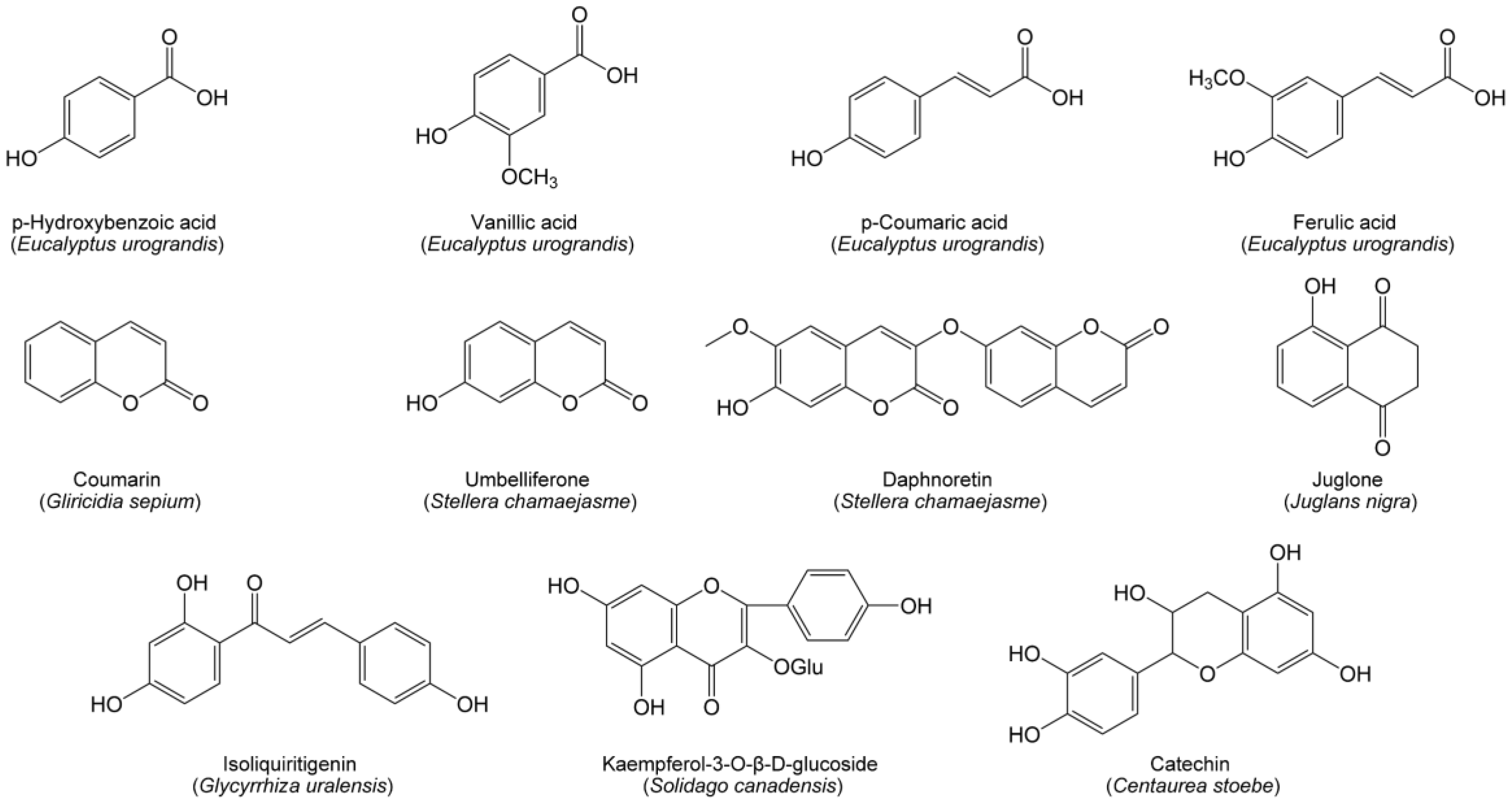 Forests 14 00562 g001