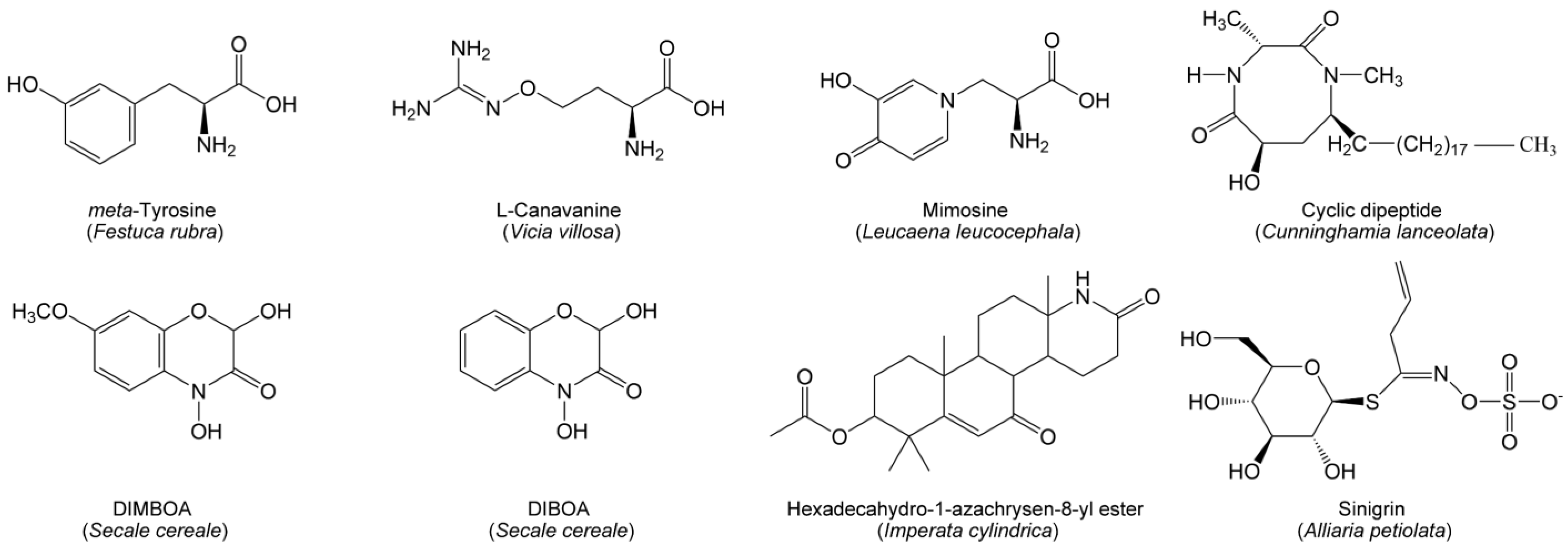 Forests 14 00562 g003