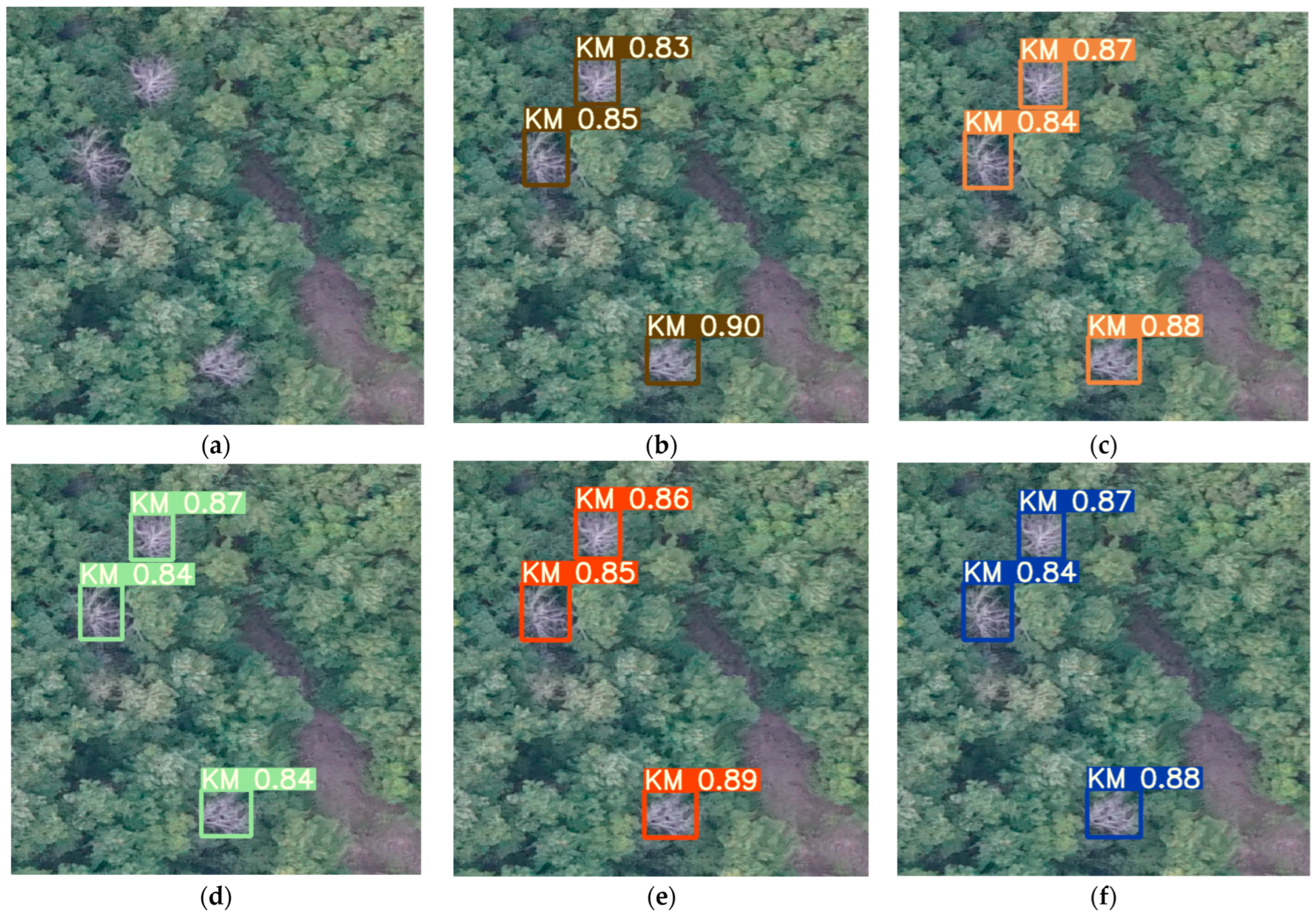 Forests 14 00588 g012 Forests 14 00588 g012