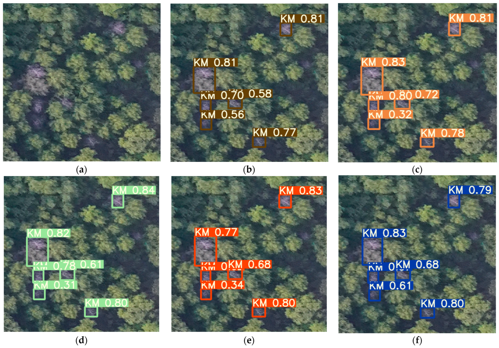 Forests 14 00588 g013 Forests 14 00588 g013