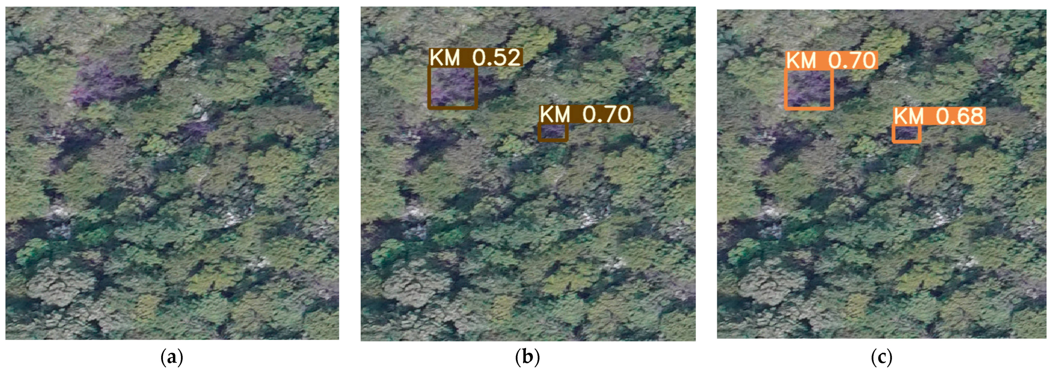 Forests 14 00588 g014a Forests 14 00588 g014a