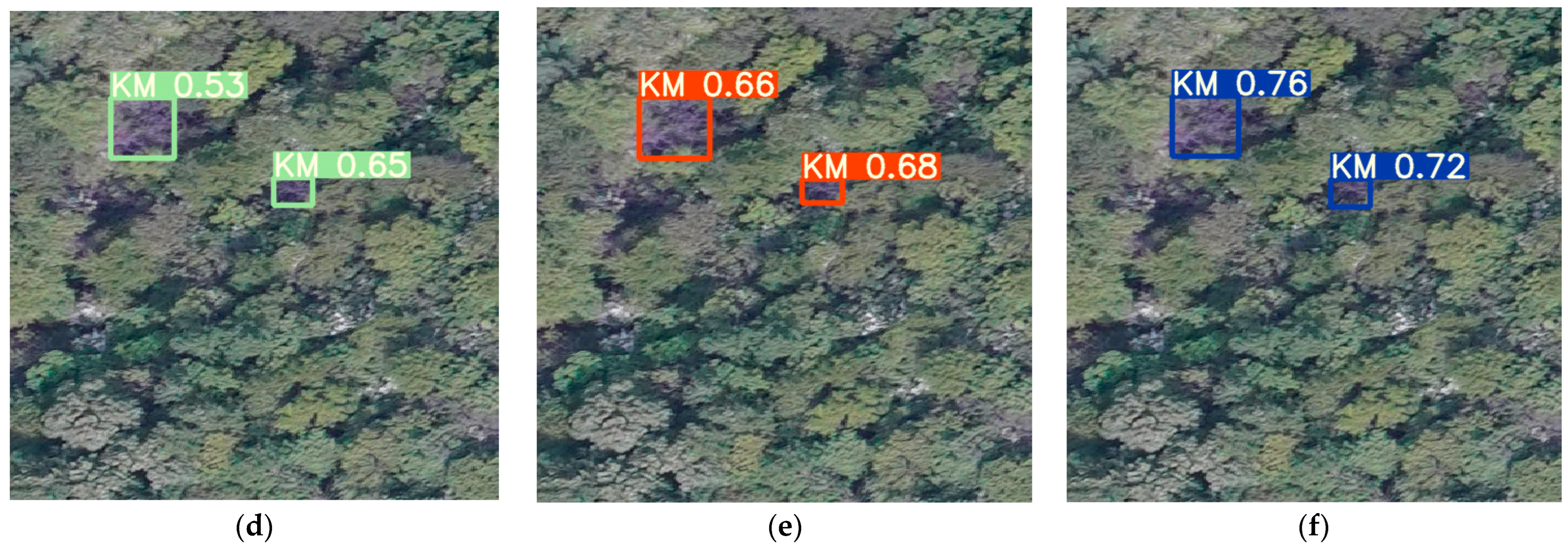 Forests 14 00588 g014b Forests 14 00588 g014b