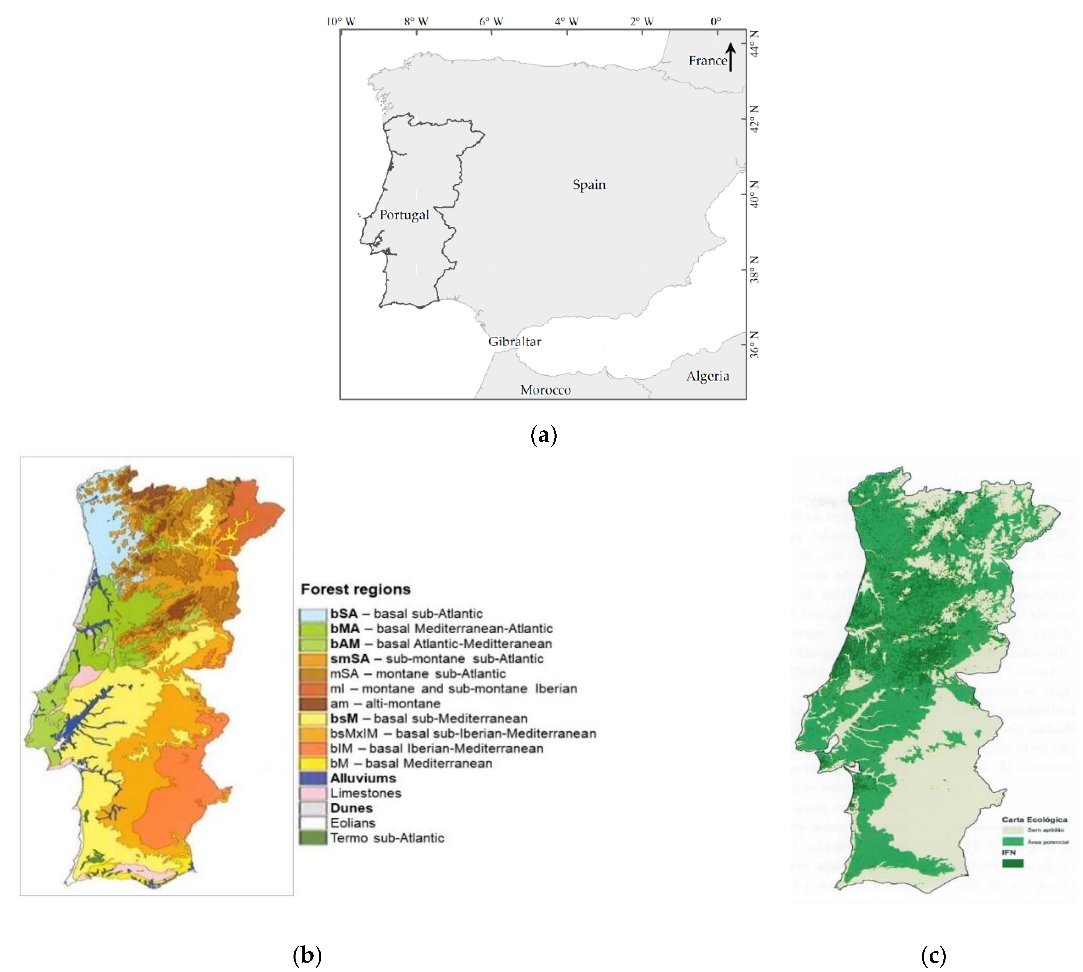 Forests 14 00591 g001