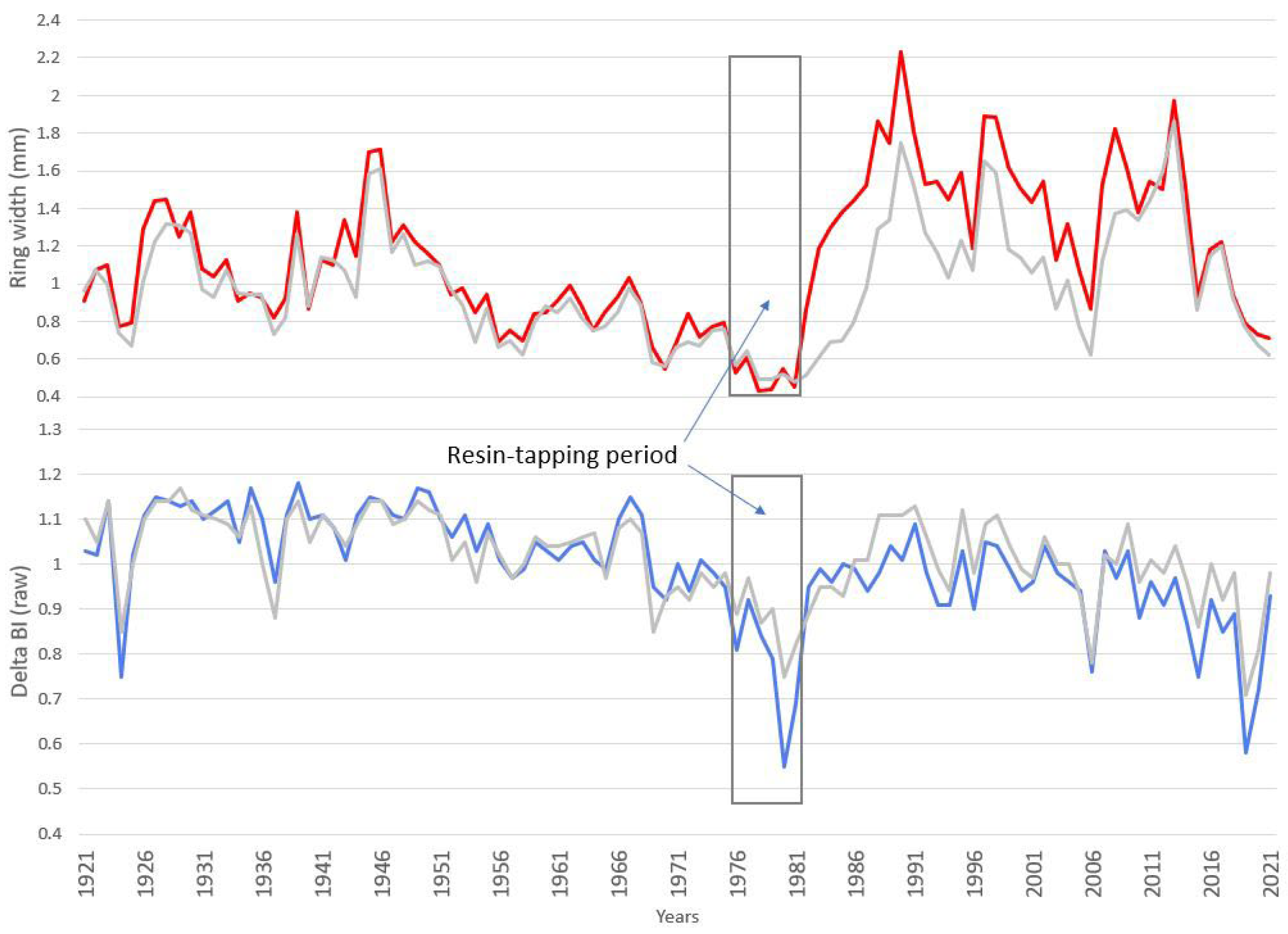 Forests 14 00593 g005