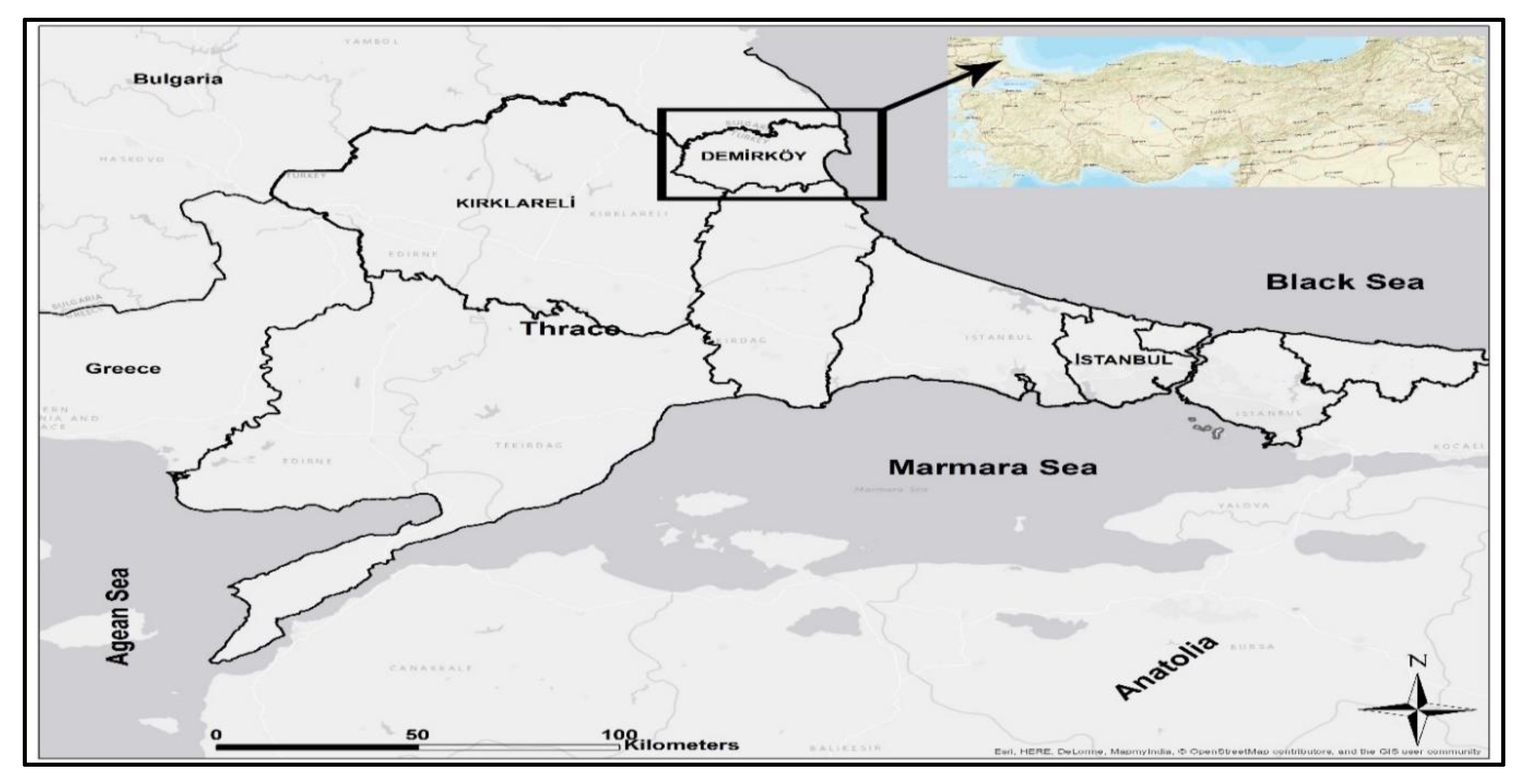 Forests 14 00596 g001