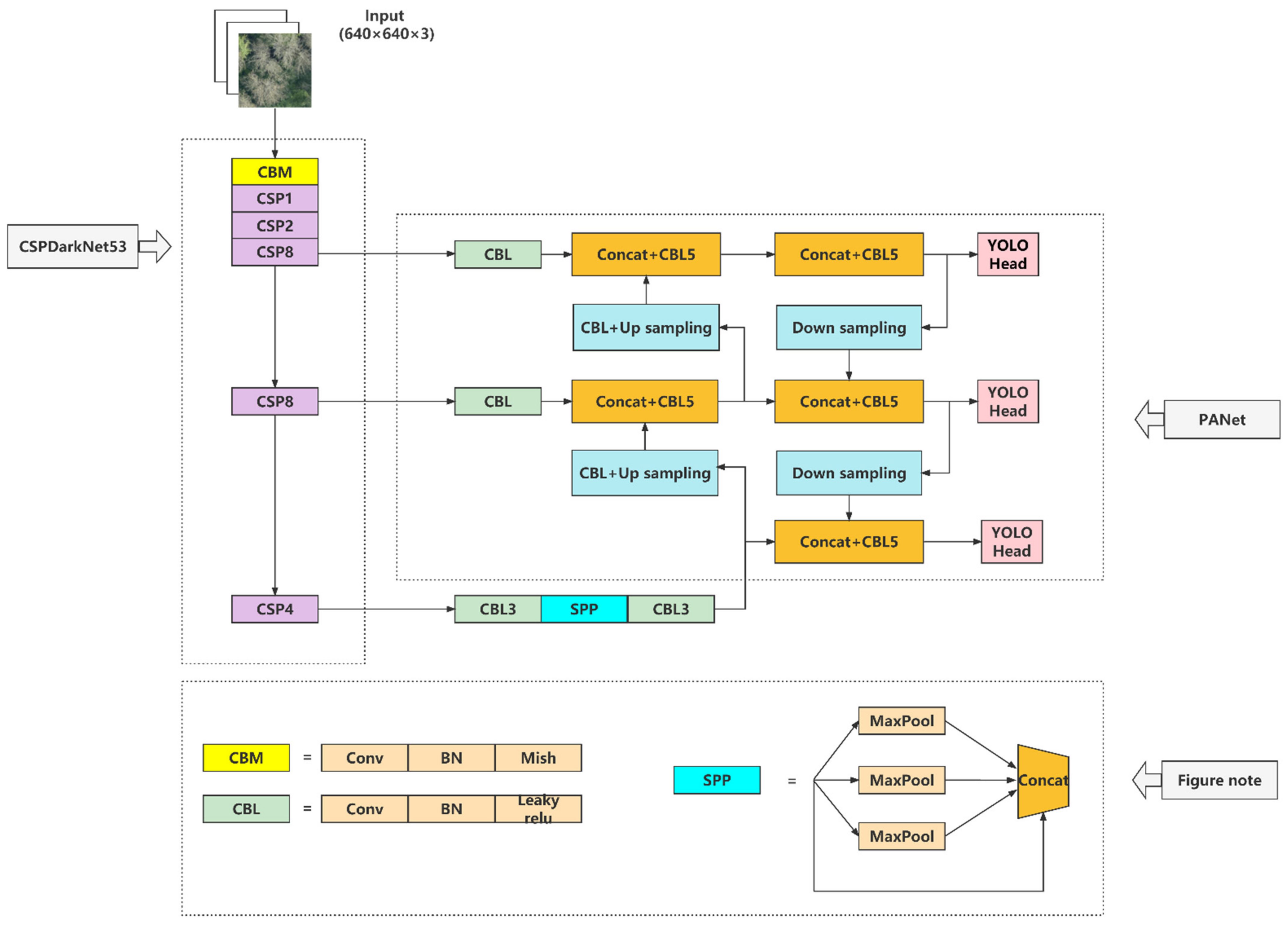 Forests 14 00601 g004