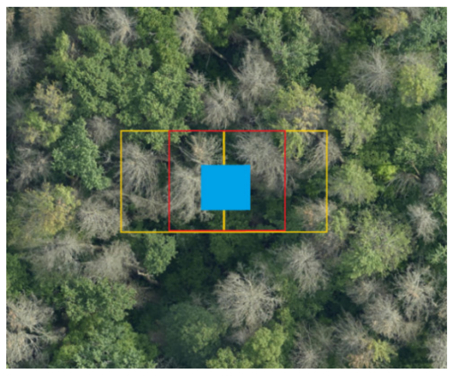 Forests 14 00601 g005