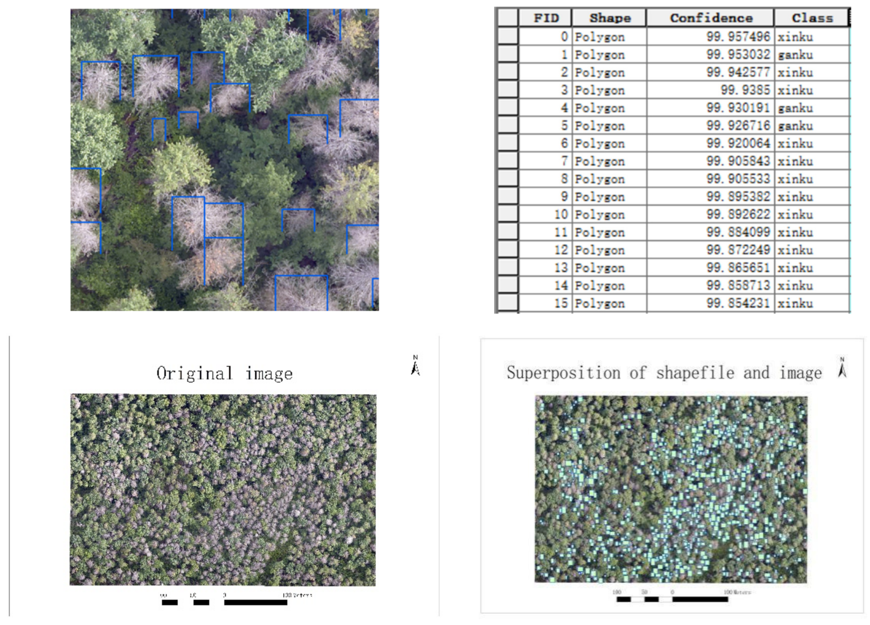 Forests 14 00601 g013