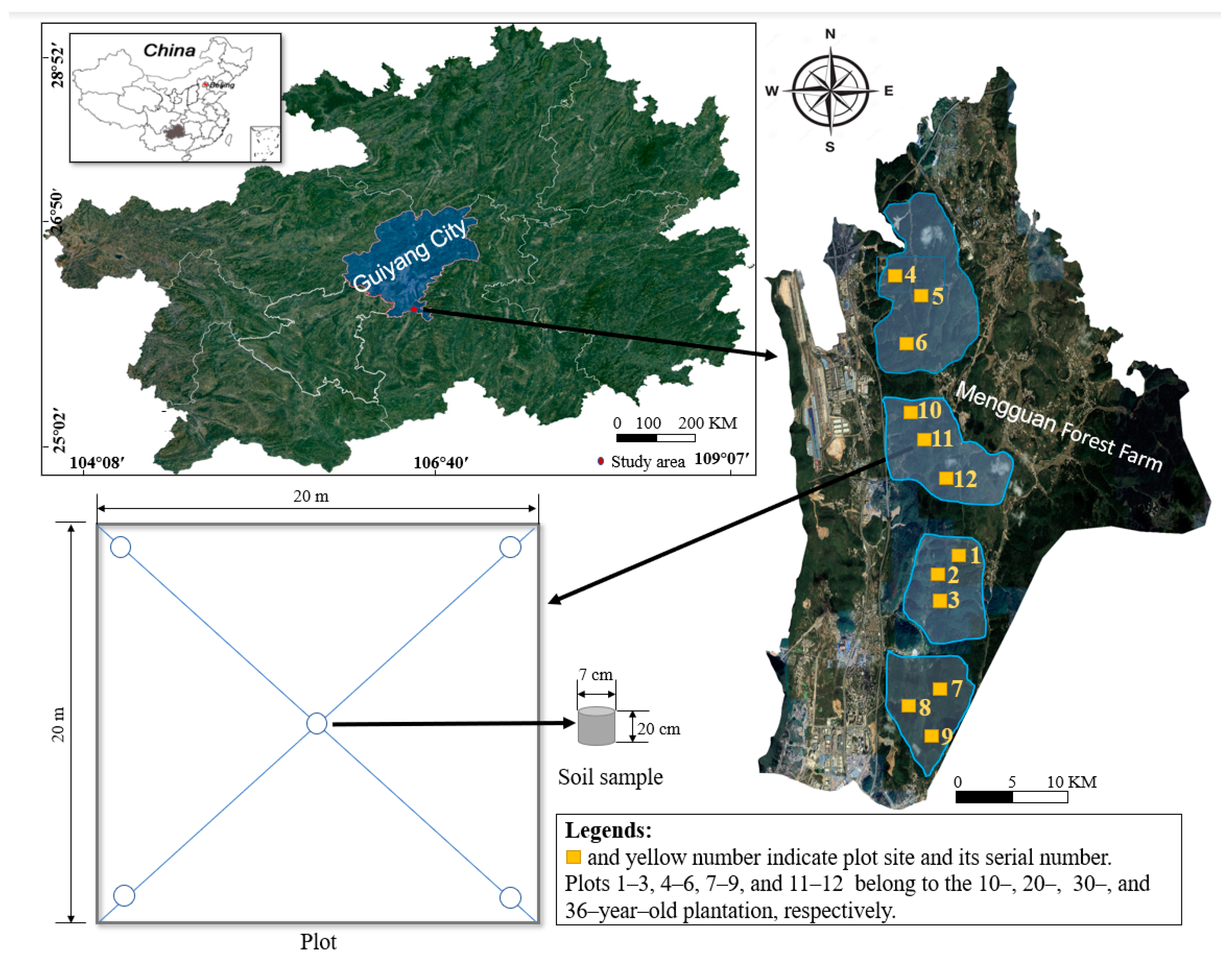 Forests 14 00607 g001