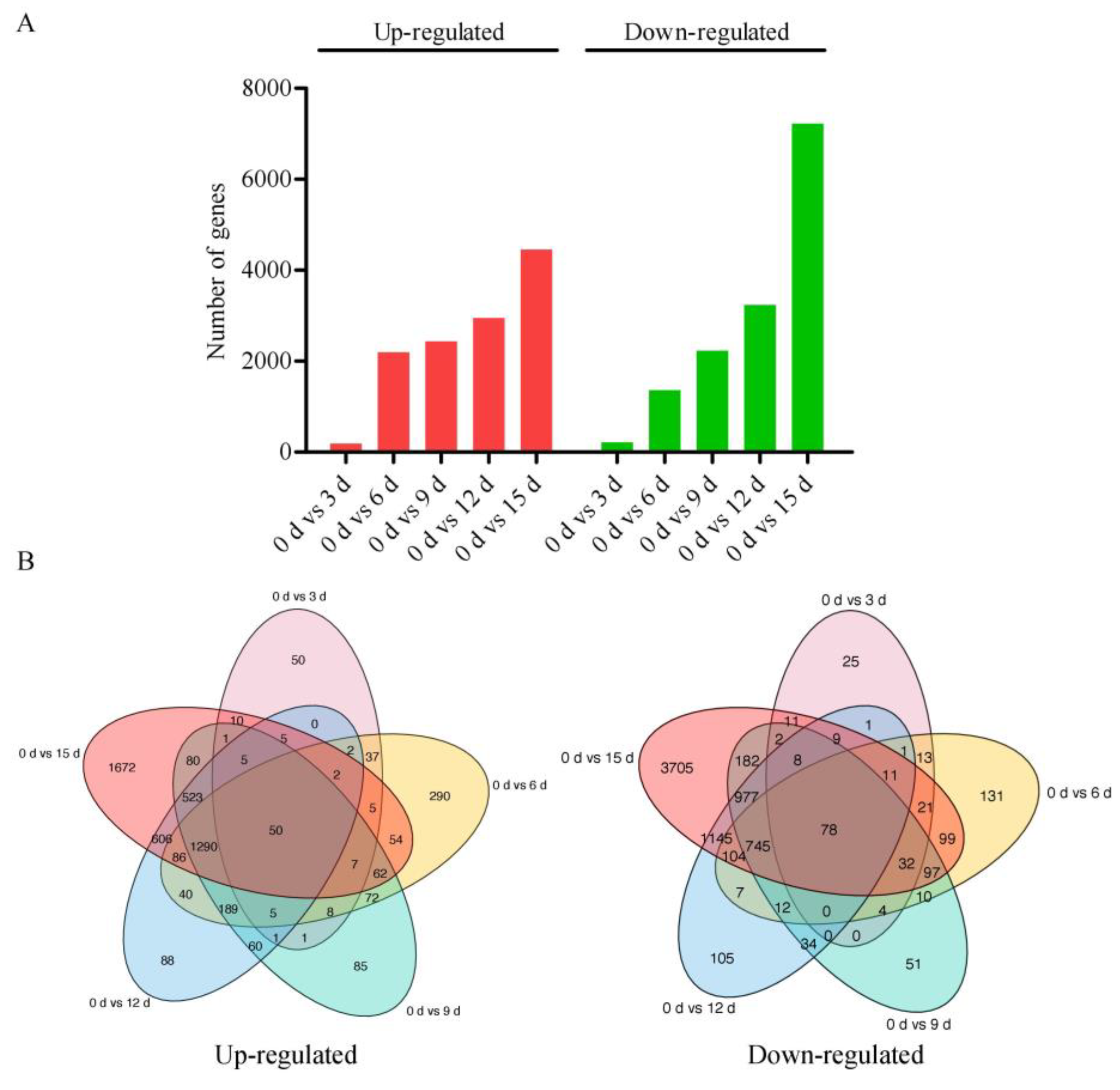 Forests 14 00608 g002 Forests 14 00608 g002