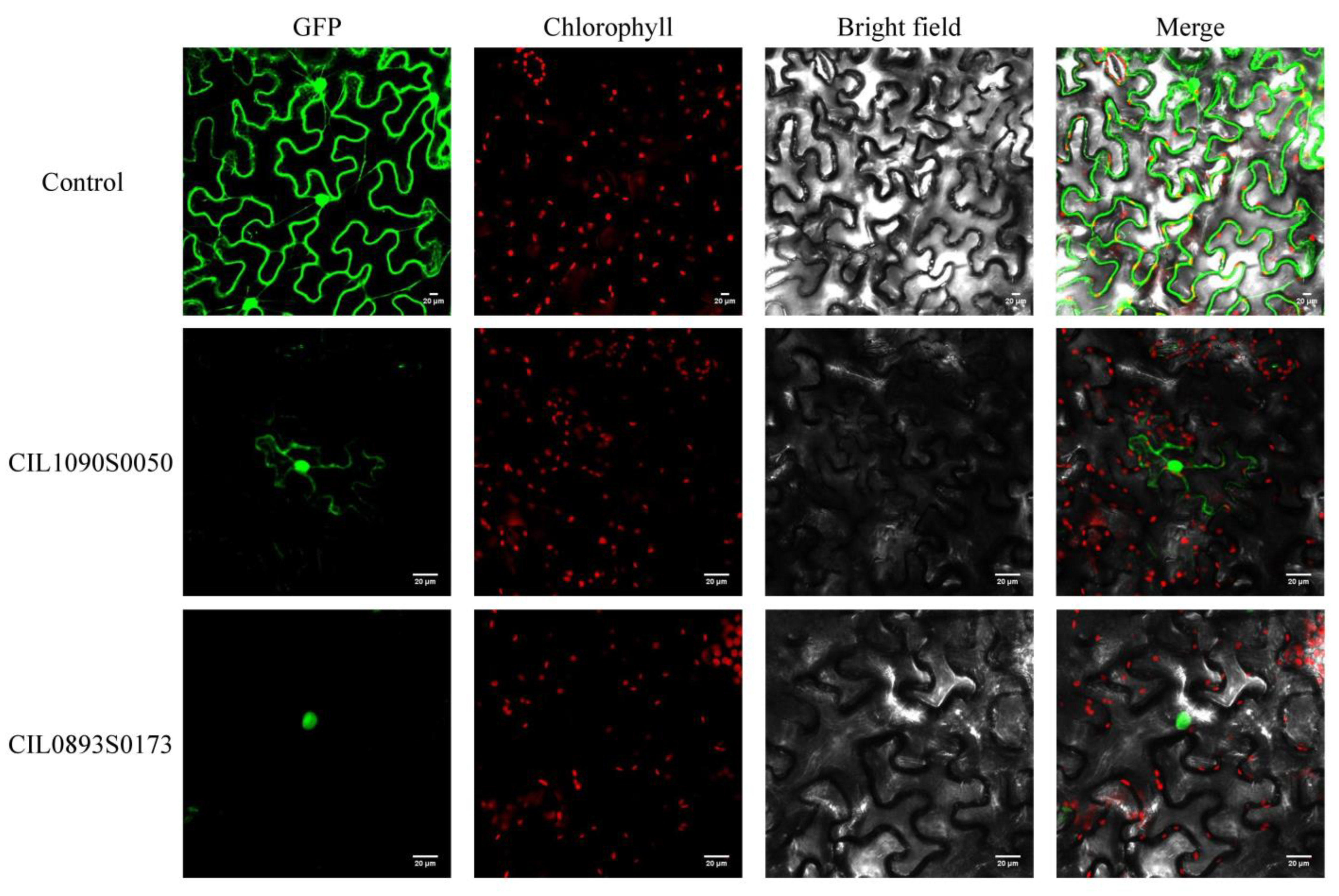 Forests 14 00608 g005 Forests 14 00608 g005