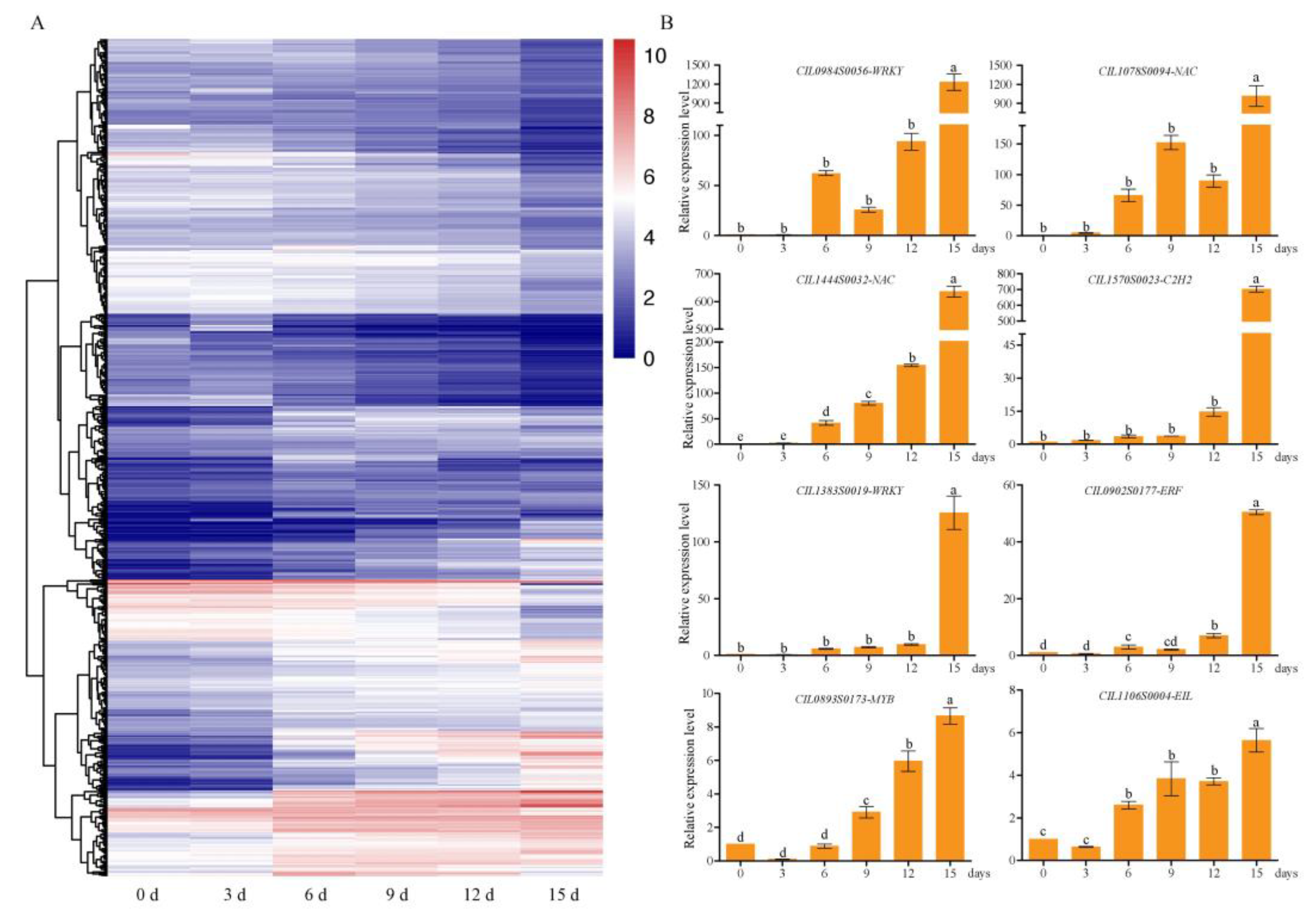 Forests 14 00608 g006 Forests 14 00608 g006
