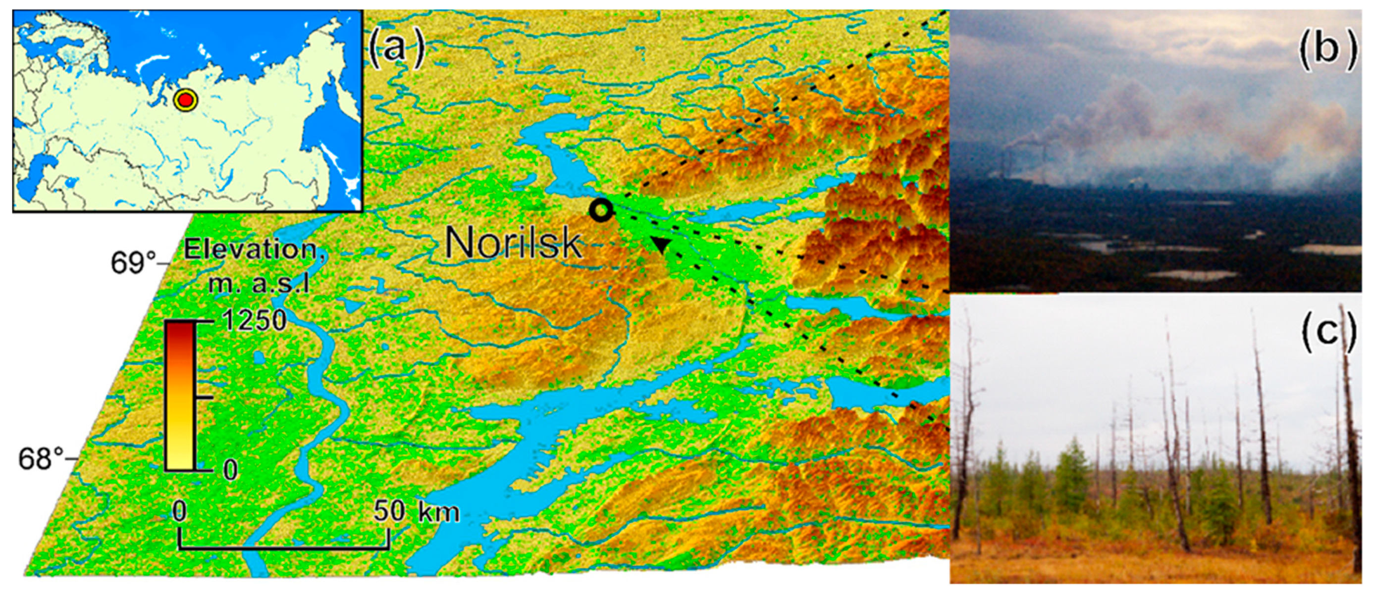 Forests 14 00615 g001