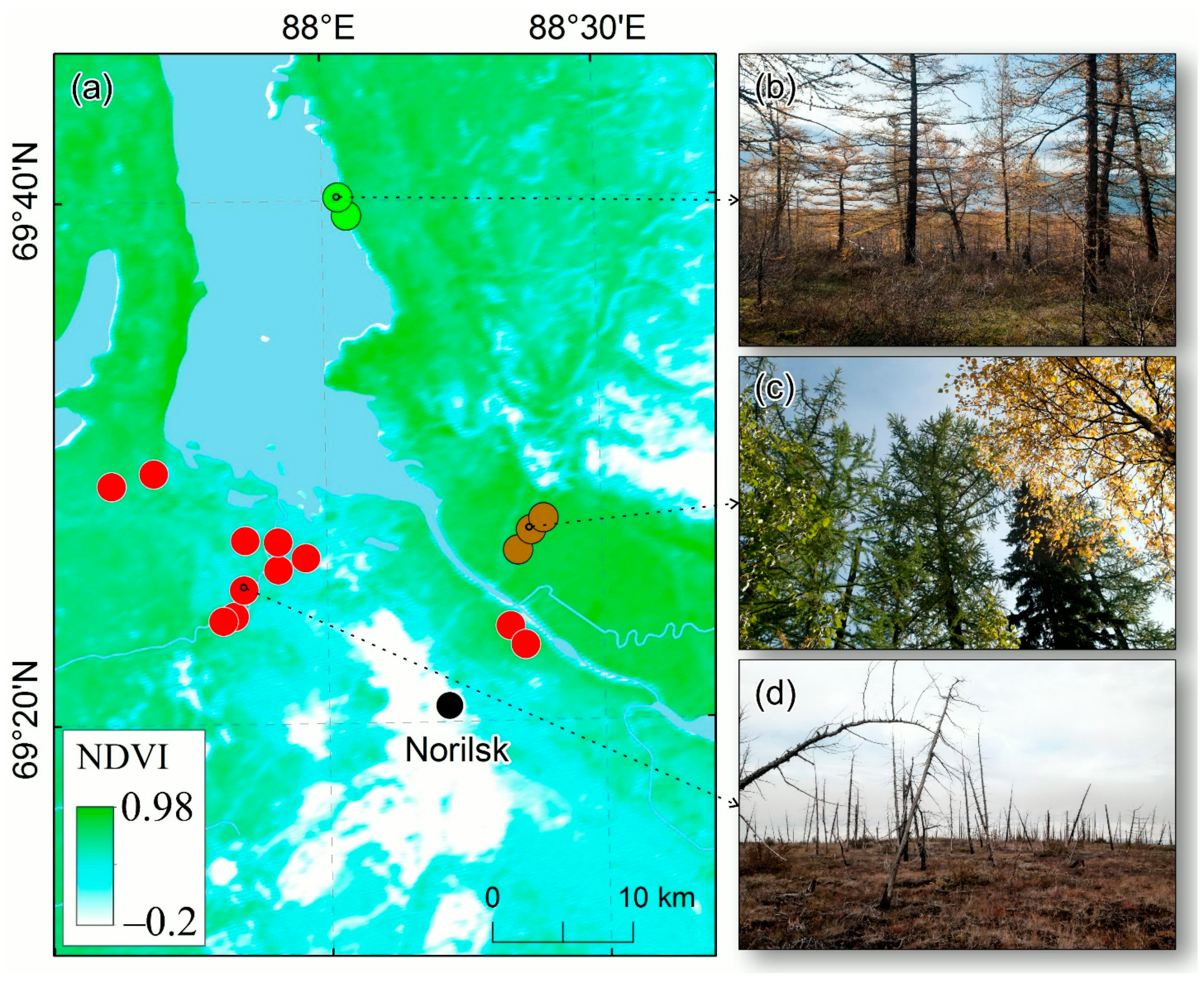 Forests 14 00615 g002