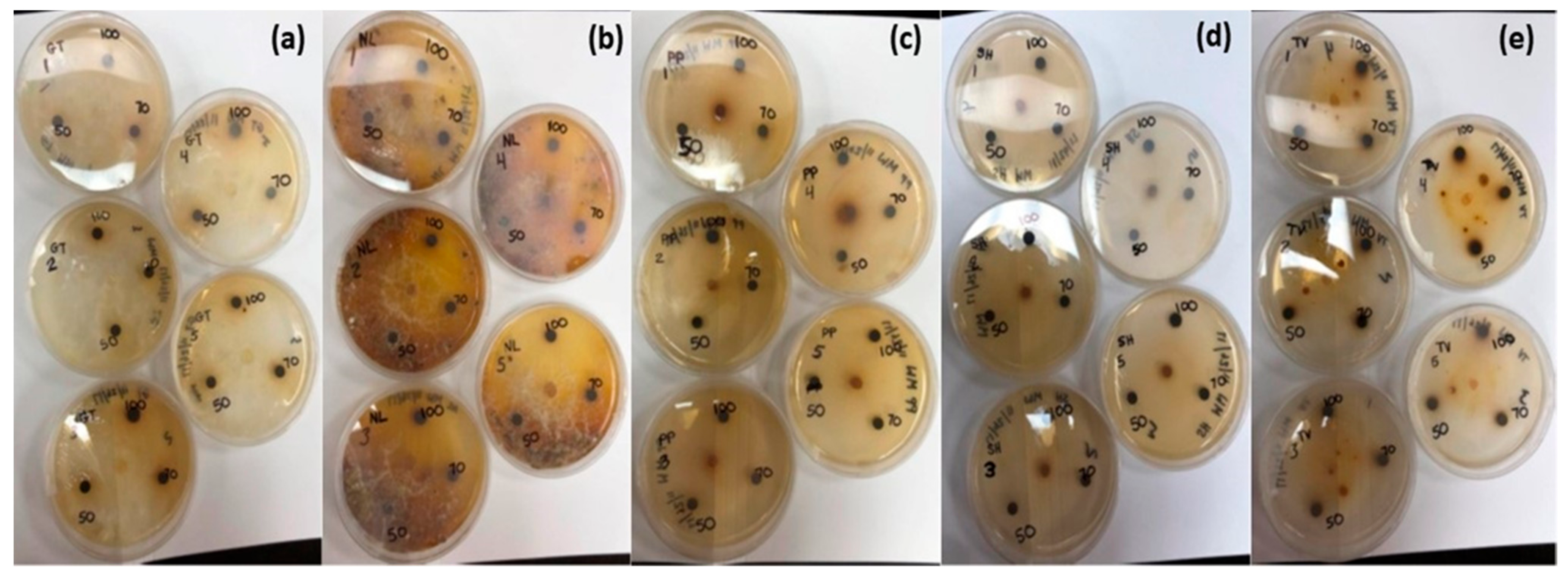 Forests 14 00625 g003 Forests 14 00625 g003