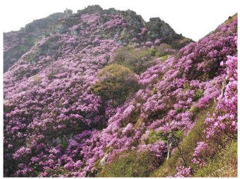 Forests 14 00627 i041