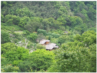 Forests 14 00627 i045