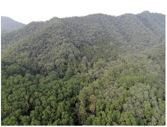 Forests 14 00627 i049