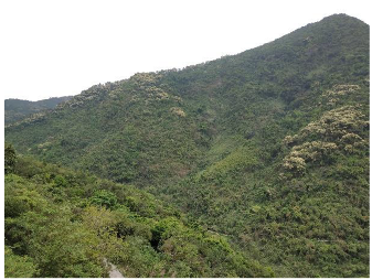 Forests 14 00627 i051