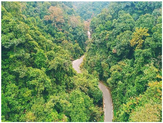 Forests 14 00627 i053