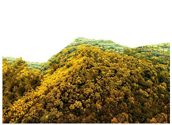 Forests 14 00627 i059