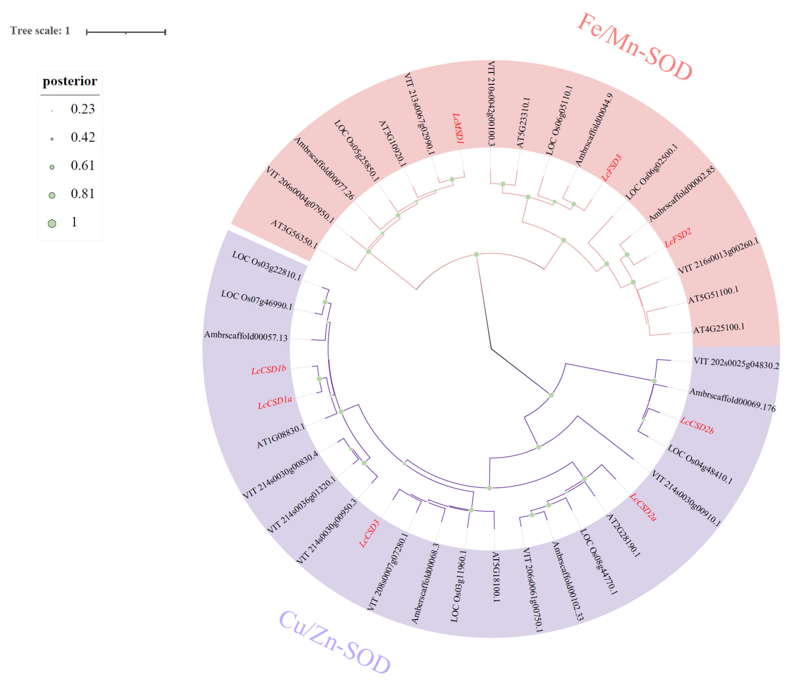 Forests 14 00628 g002