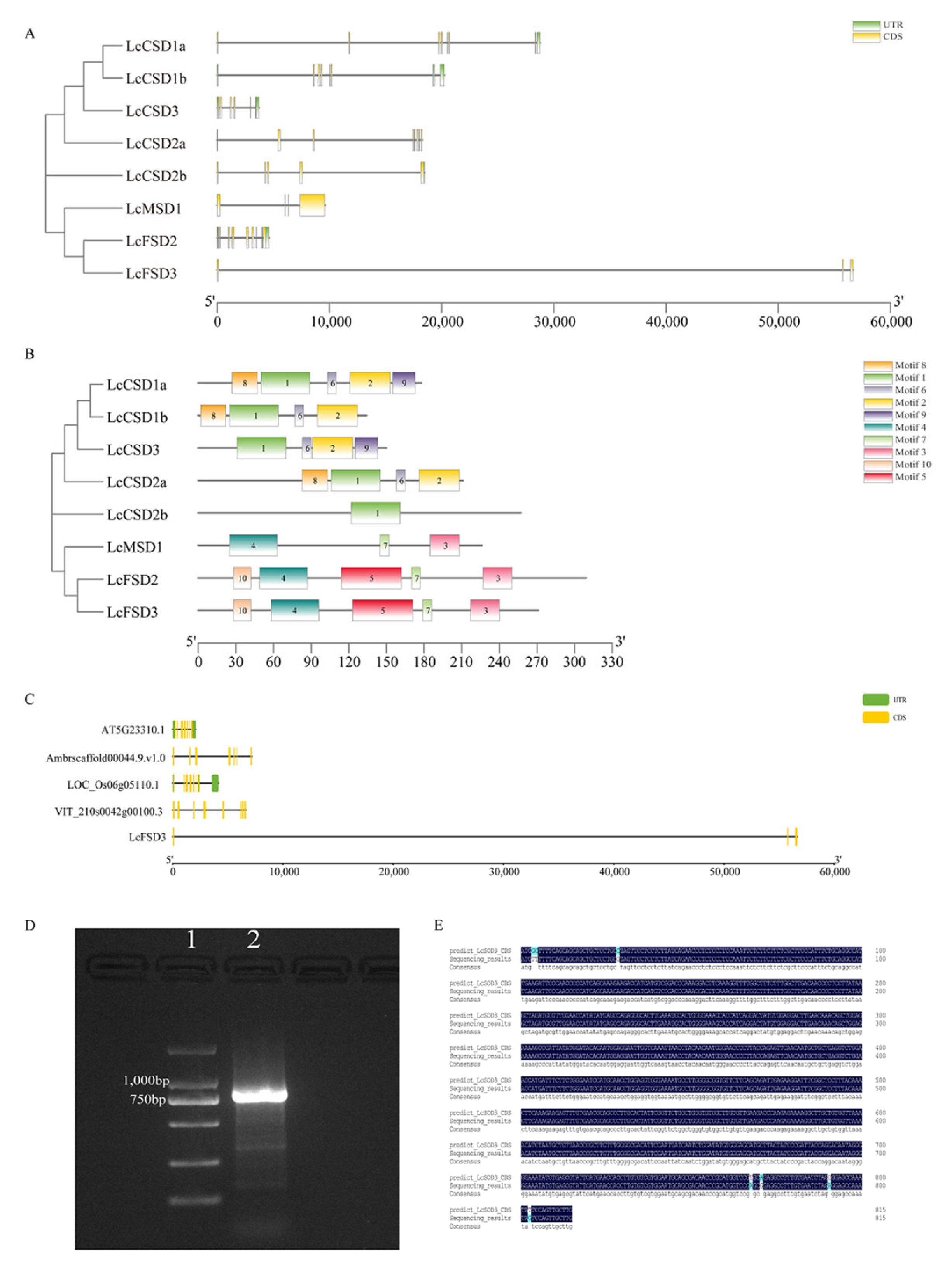 Forests 14 00628 g004