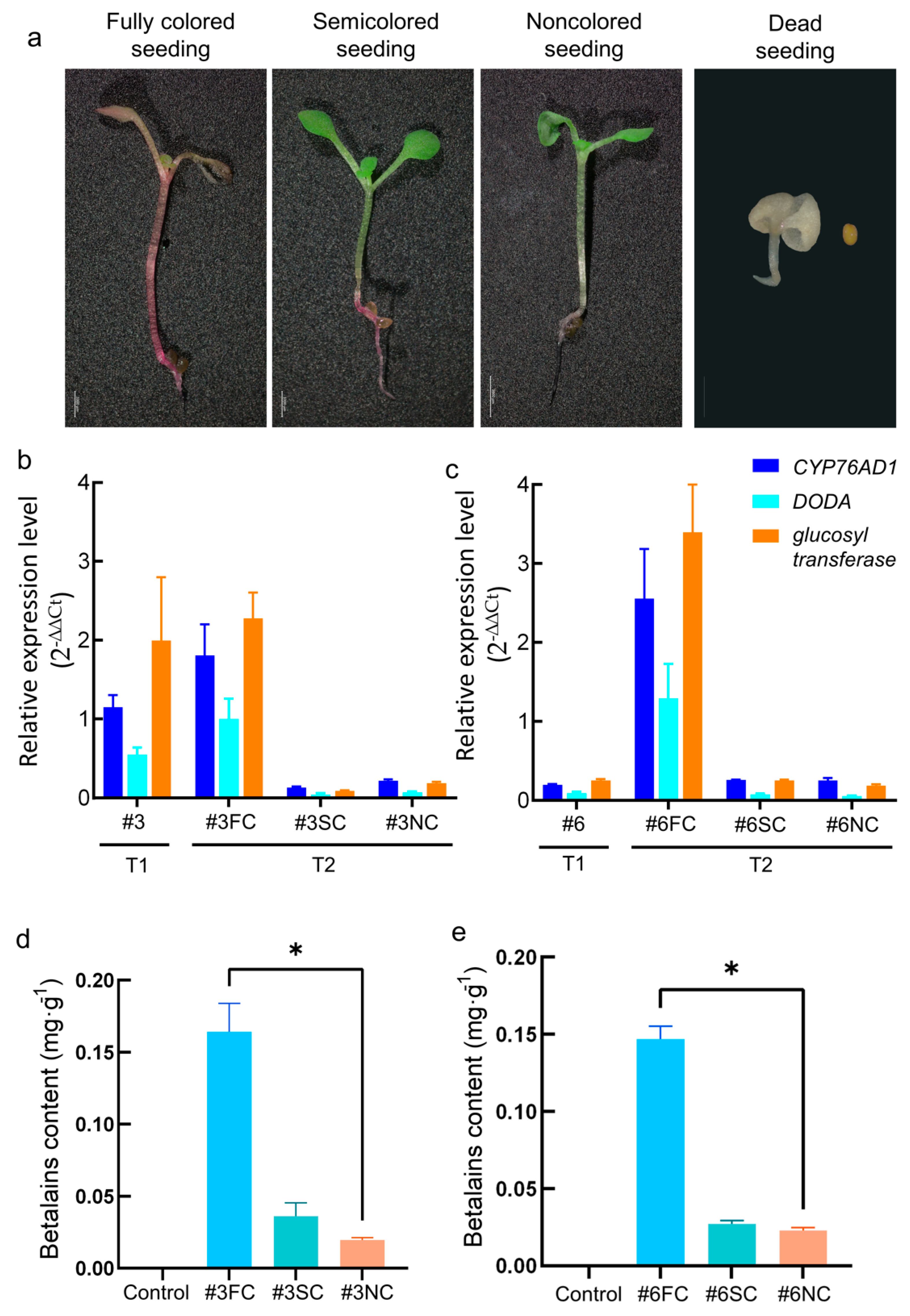 Forests 14 00637 g006 Forests 14 00637 g006