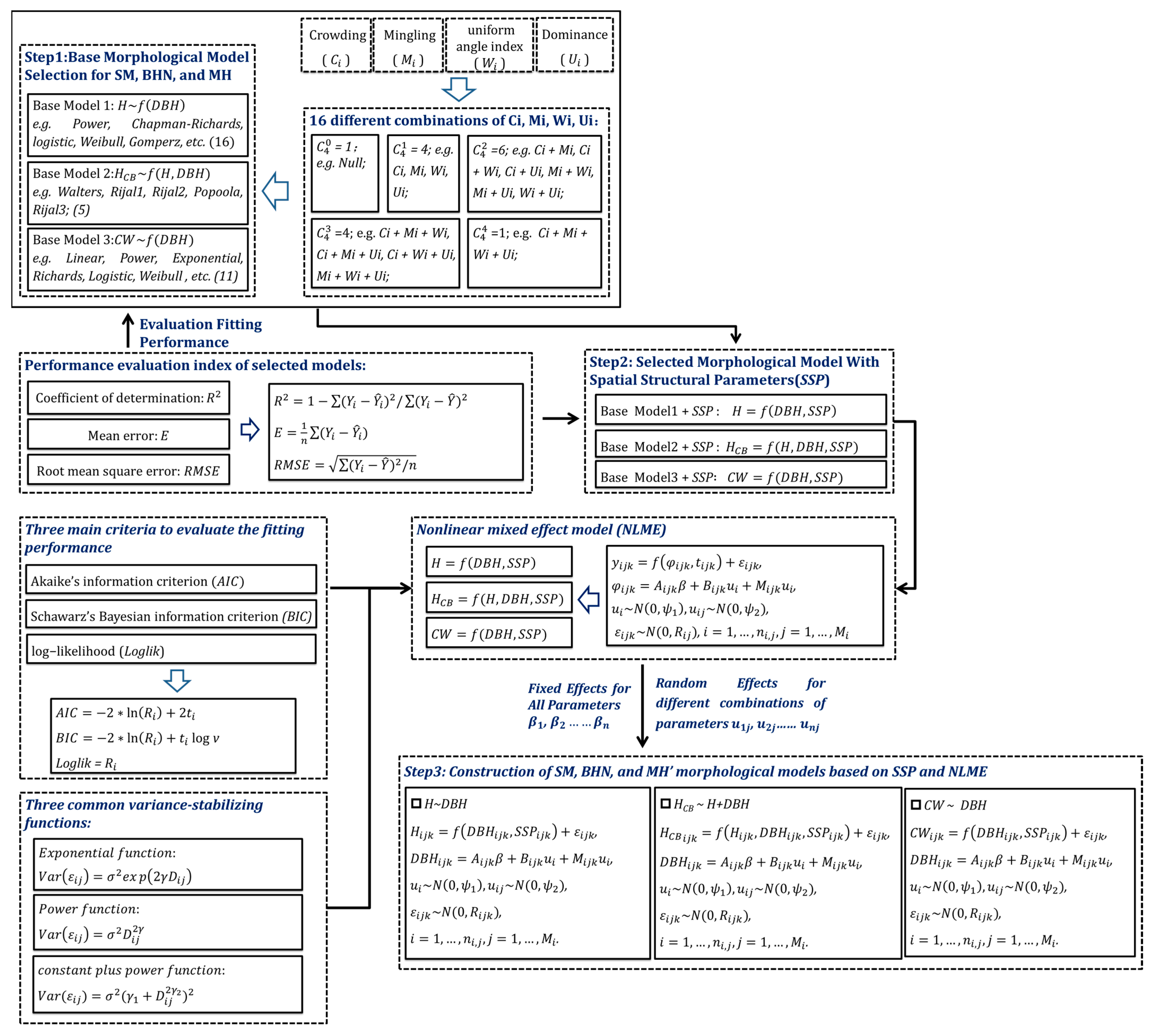 Forests 14 00639 g003