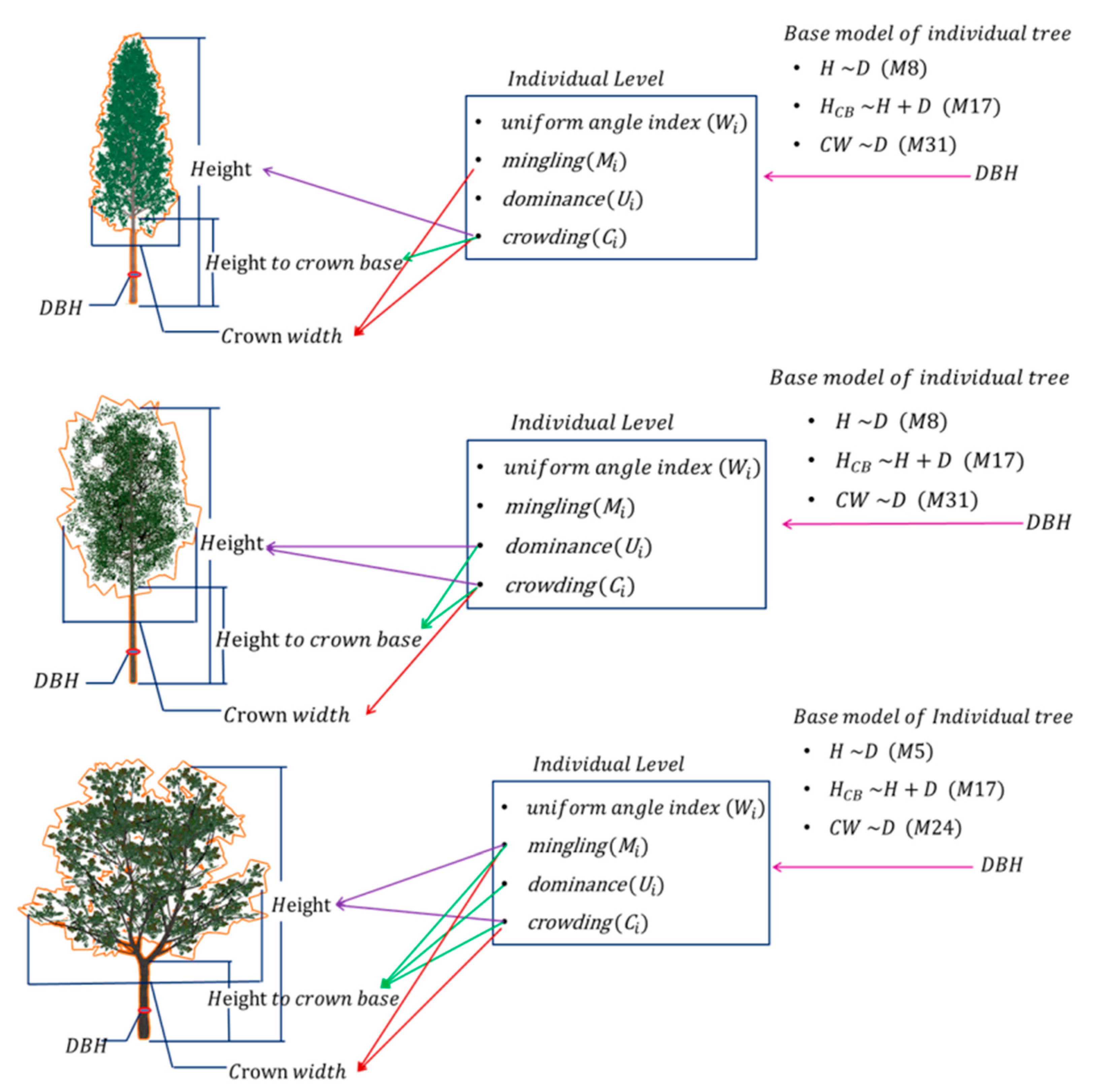 Forests 14 00639 g006