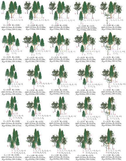 Forests 14 00639 g0a1