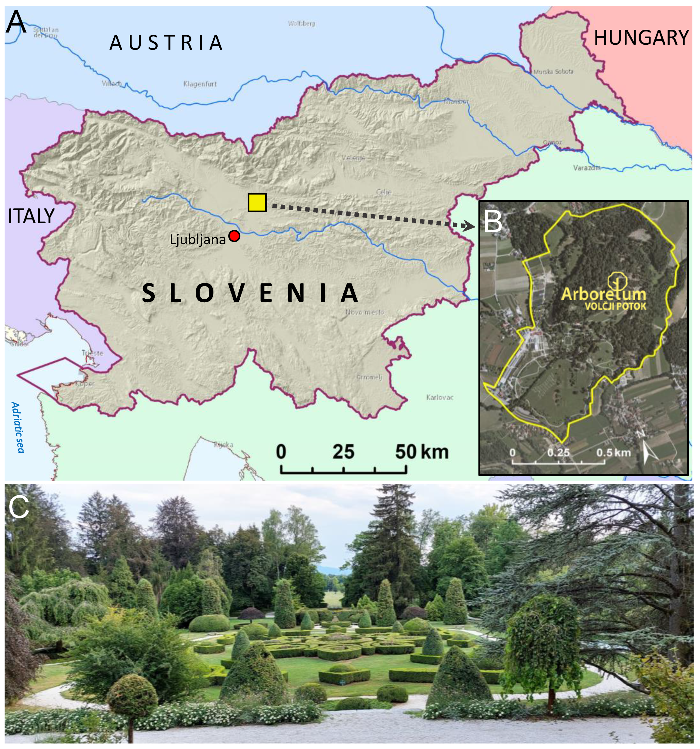 Forests 14 00641 g001 Forests 14 00641 g001