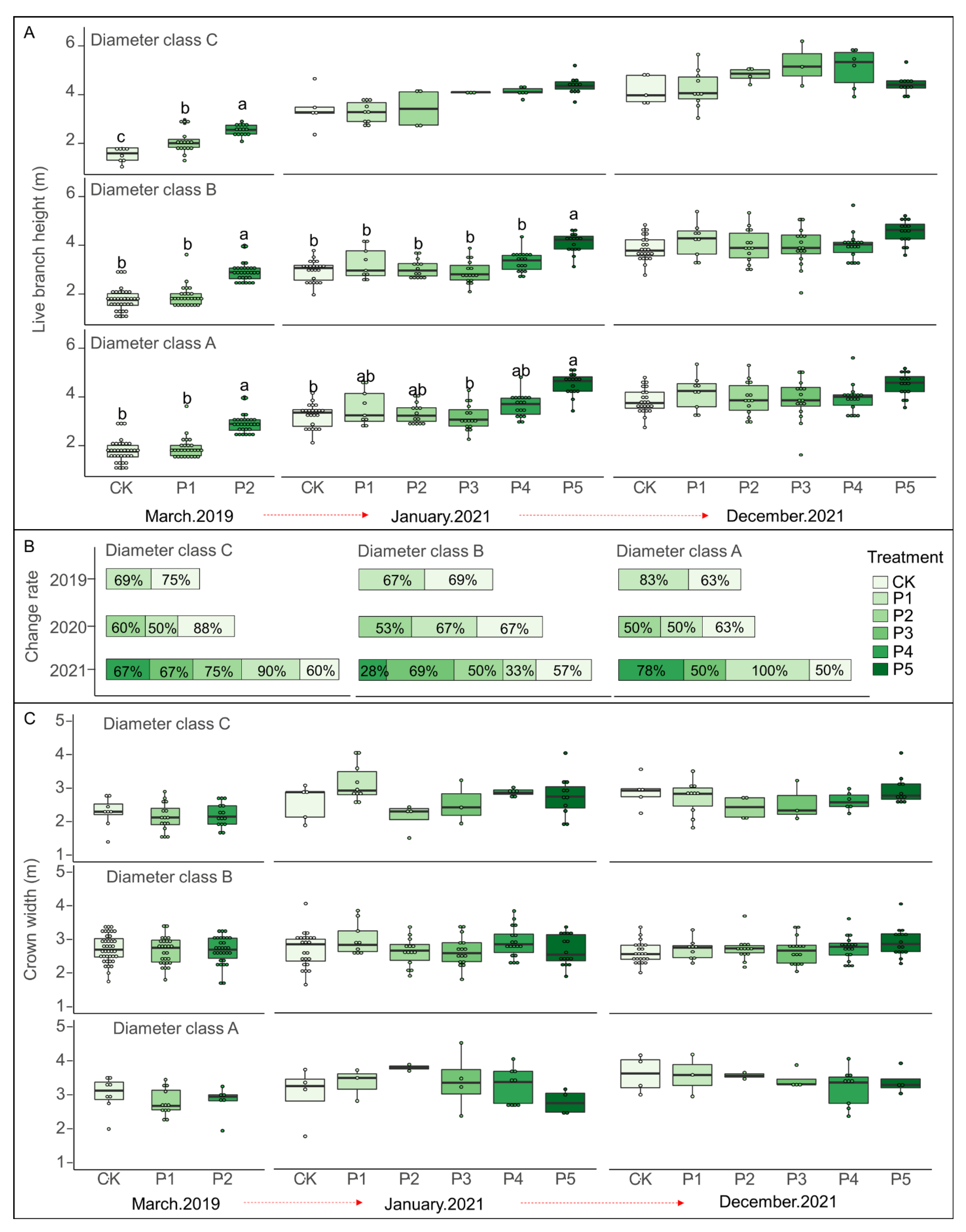Forests 14 00668 g005