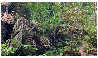 Forests 14 00669 i002