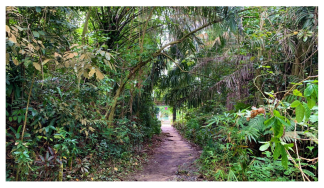 Forests 14 00669 i003